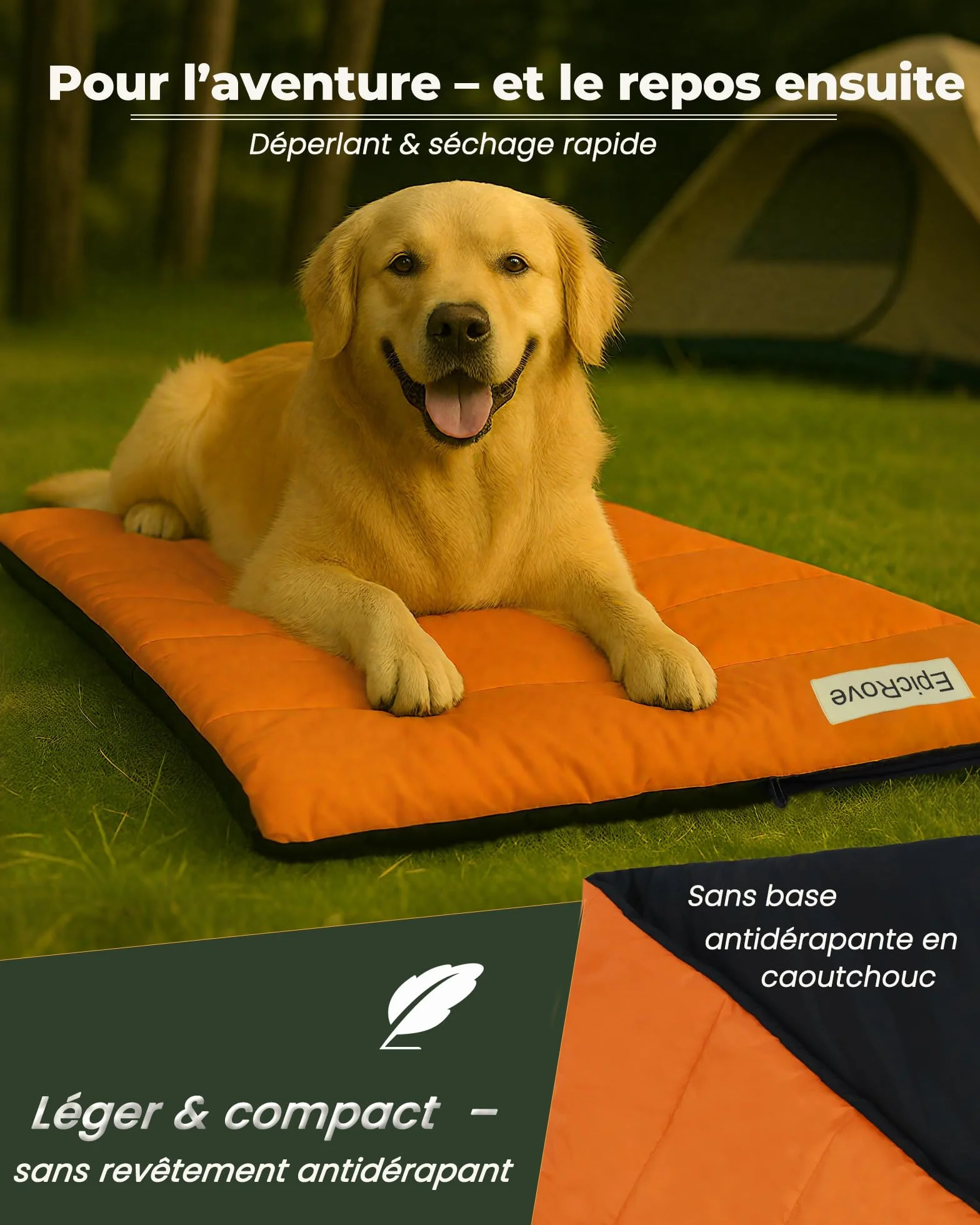 RovePad Base Tapis pour Chien imperméable 110 × 68 cm antidérapant Lavable en Machine résistant aux Griffes