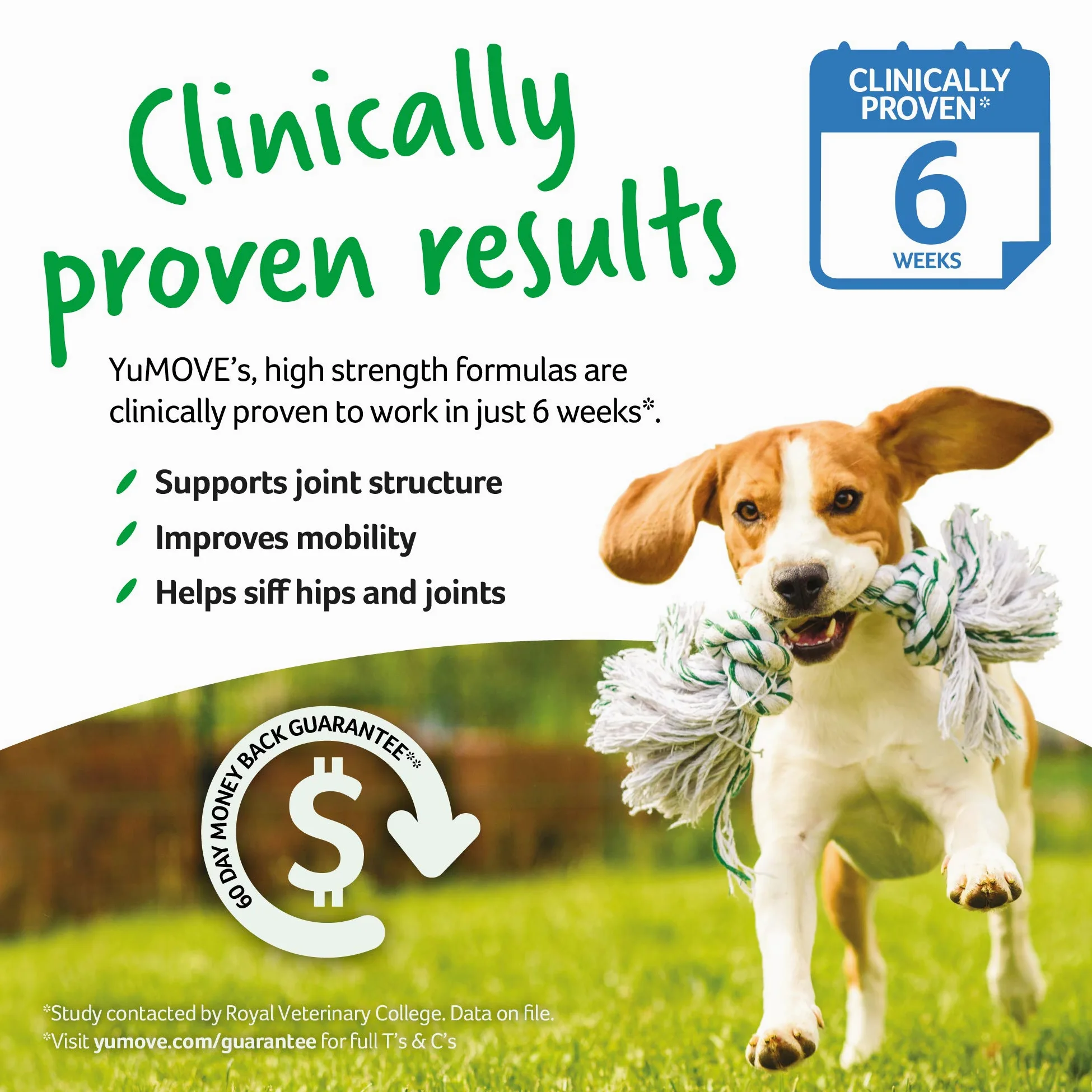 YuMOVE Arthrose Chien Senior + Probiotique Superpack - Lot 120+120 Comprimés - ActivEase Moule Verte & ActivBio - Soutien Articulation Chien & Digestion Quotidienne - Bien-Être Senior