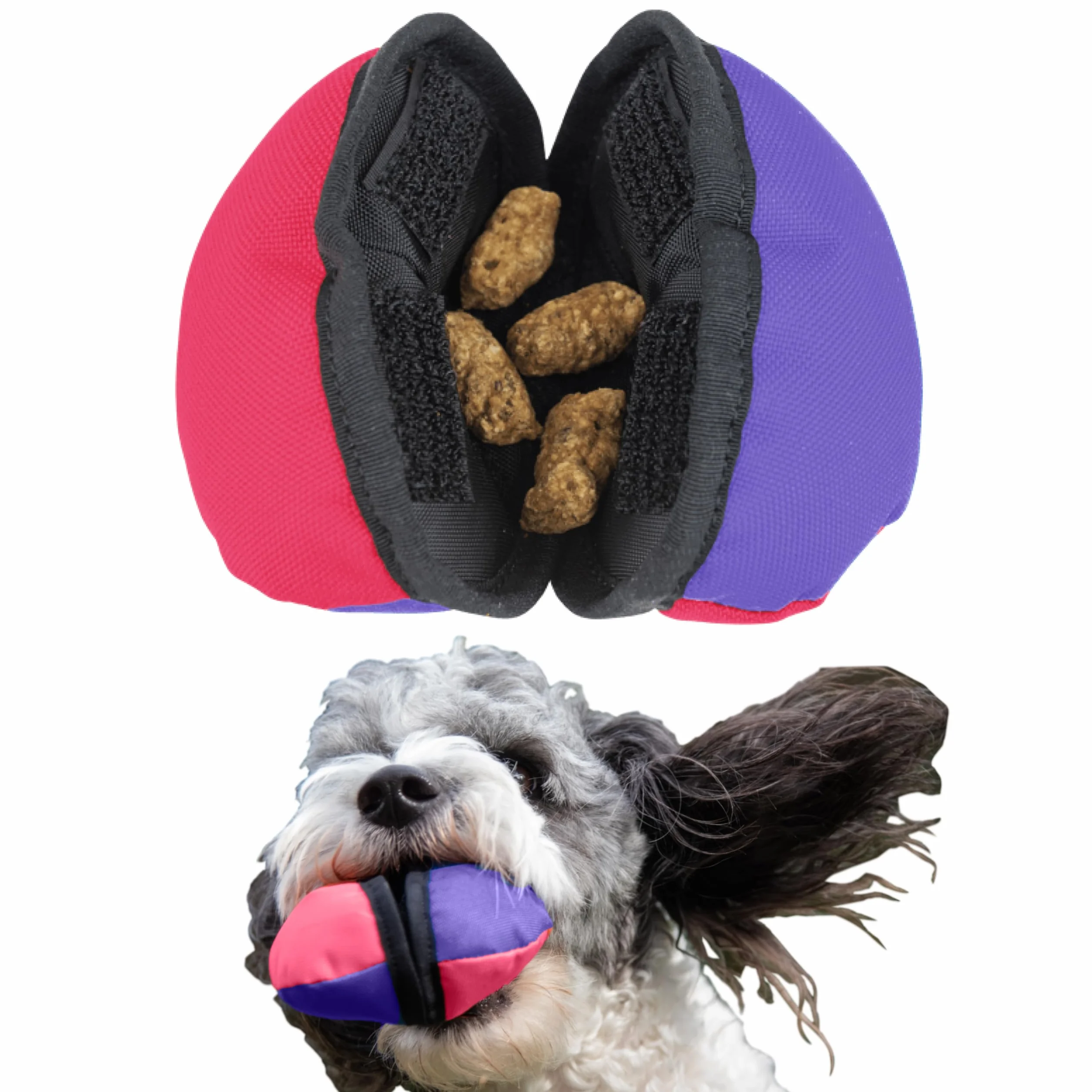 Tug-E-Nuff The Clam Distributeur de friandises pour Chien Compact 11,4 cm
