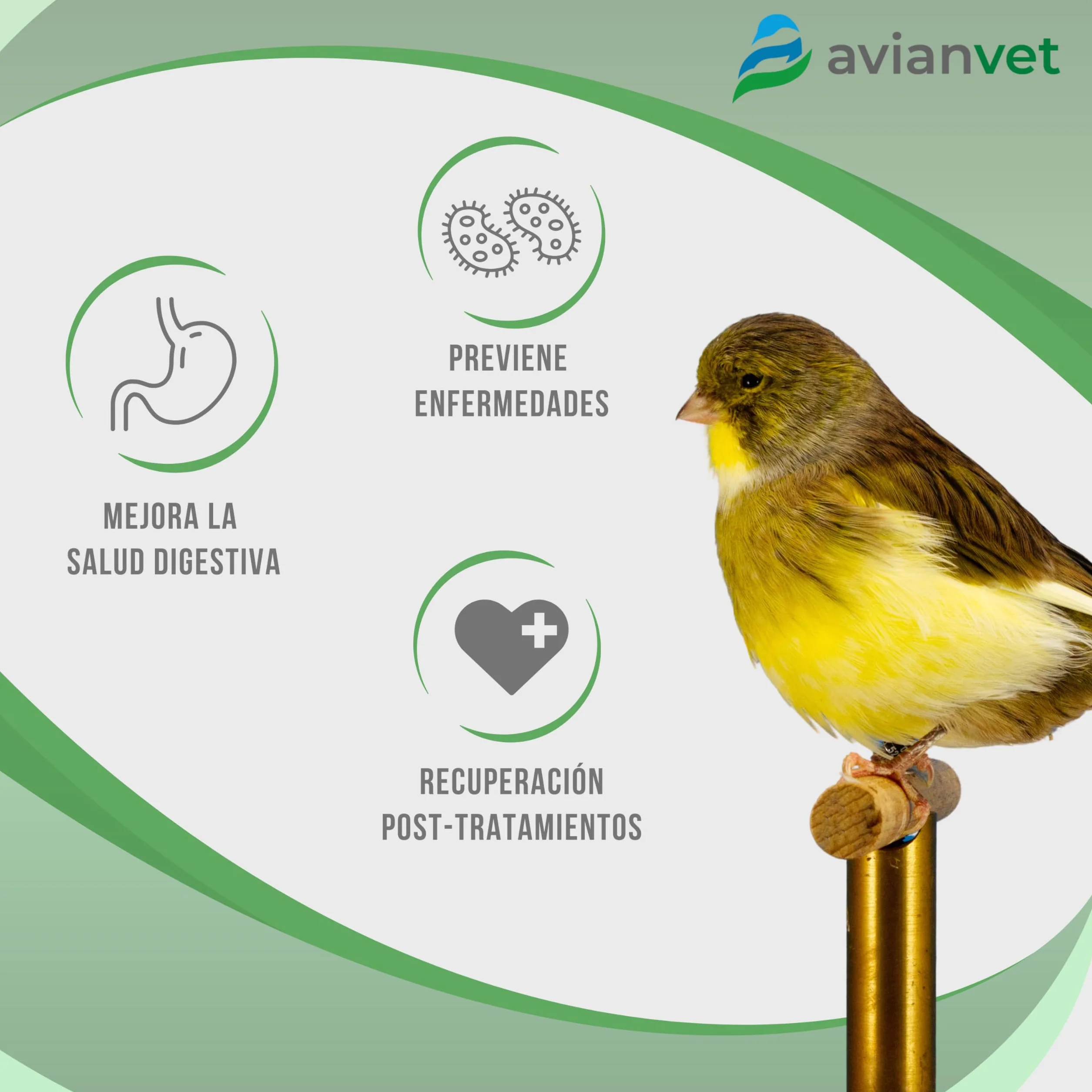 Punto Negro Complément Alimentaire pour Oiseaux 250 g