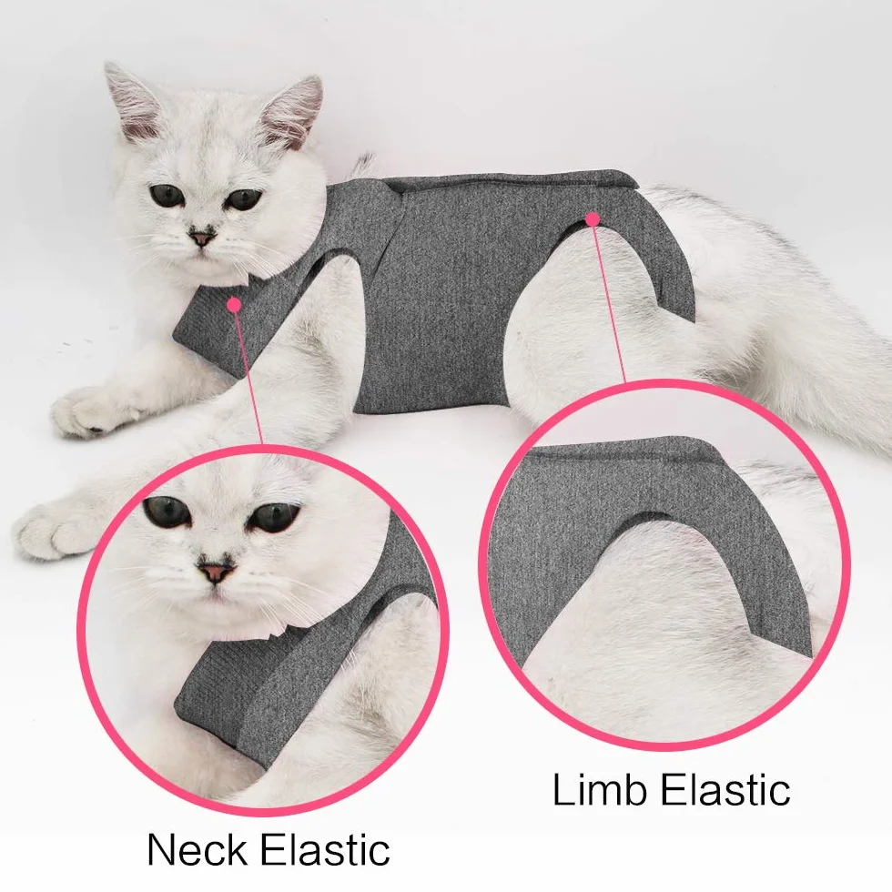 Costume de récupération Anti-léchage pour Chat Plaies Abdominales Doux Vêtement Animaux Collier E Après Chirurgie