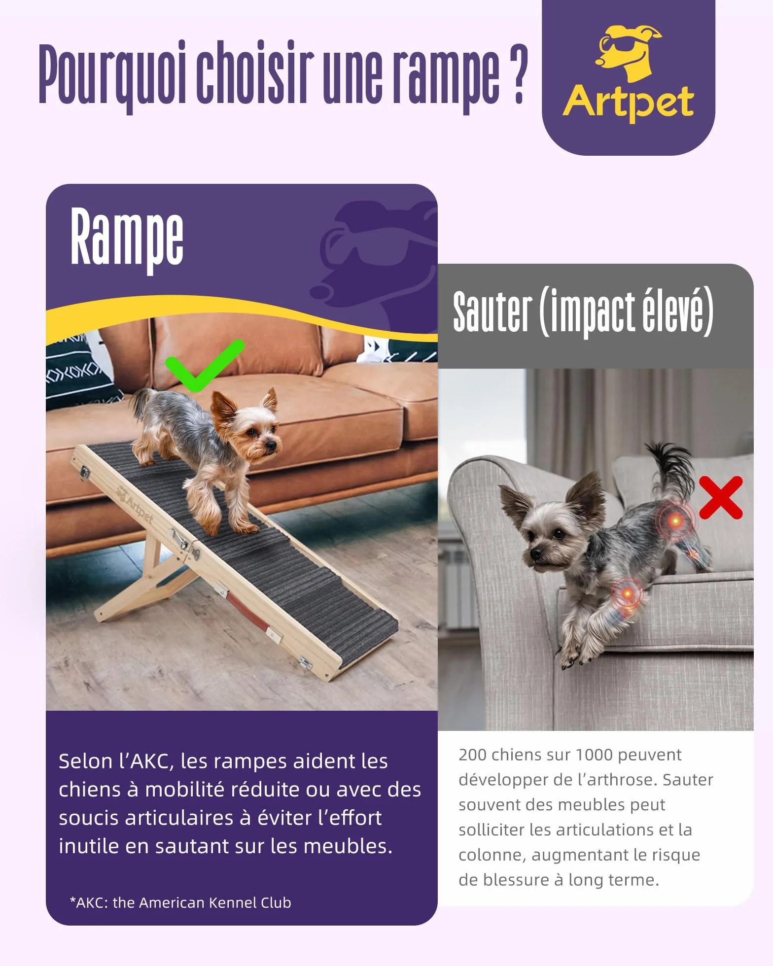 Rampe pliable antidérapante pour chien, hauteur réglable, supporte jusqu'à 15,9 kg