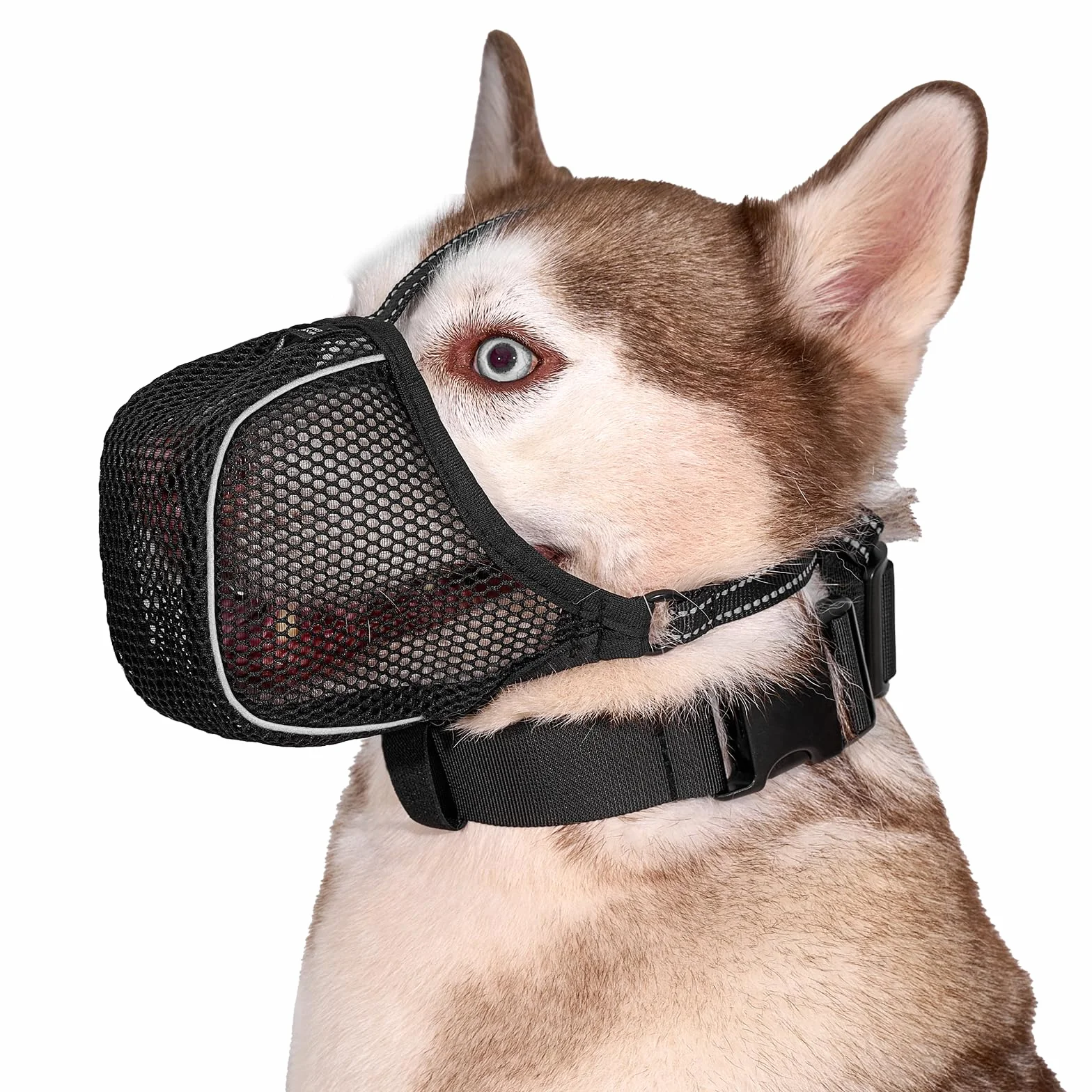 Arblina Museliere pour Chien, Muselière Respirante en Maille Douce pour Les Petits, Moyens et Grands Chiens, Muselière Ajustable Antidérapante avec Triple Sangle et Fil Réfléchissant, Noire