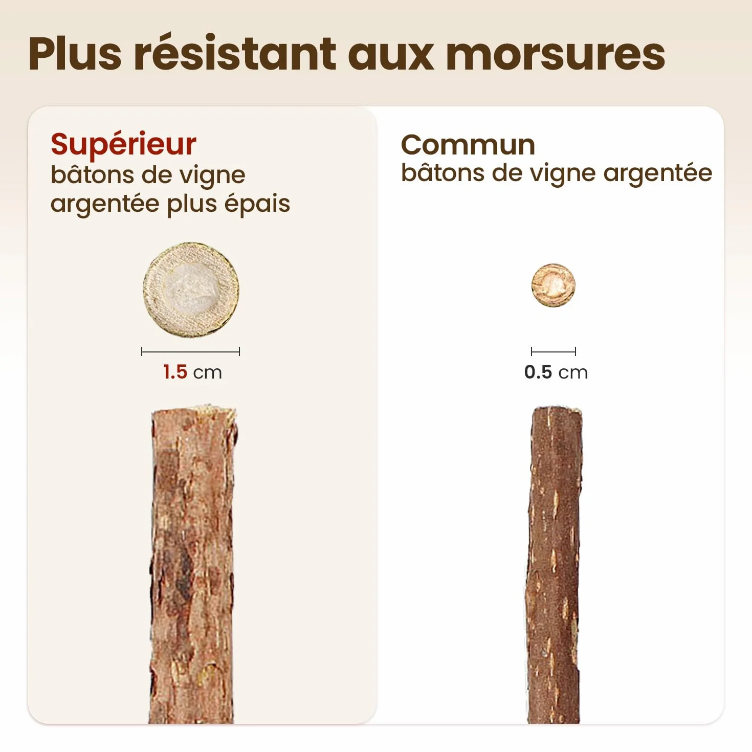 Potaroma Lot de 6 Bâtonnets Naturels pour Chats – Jouets à Mâcher avec Cataire & Silvervine
