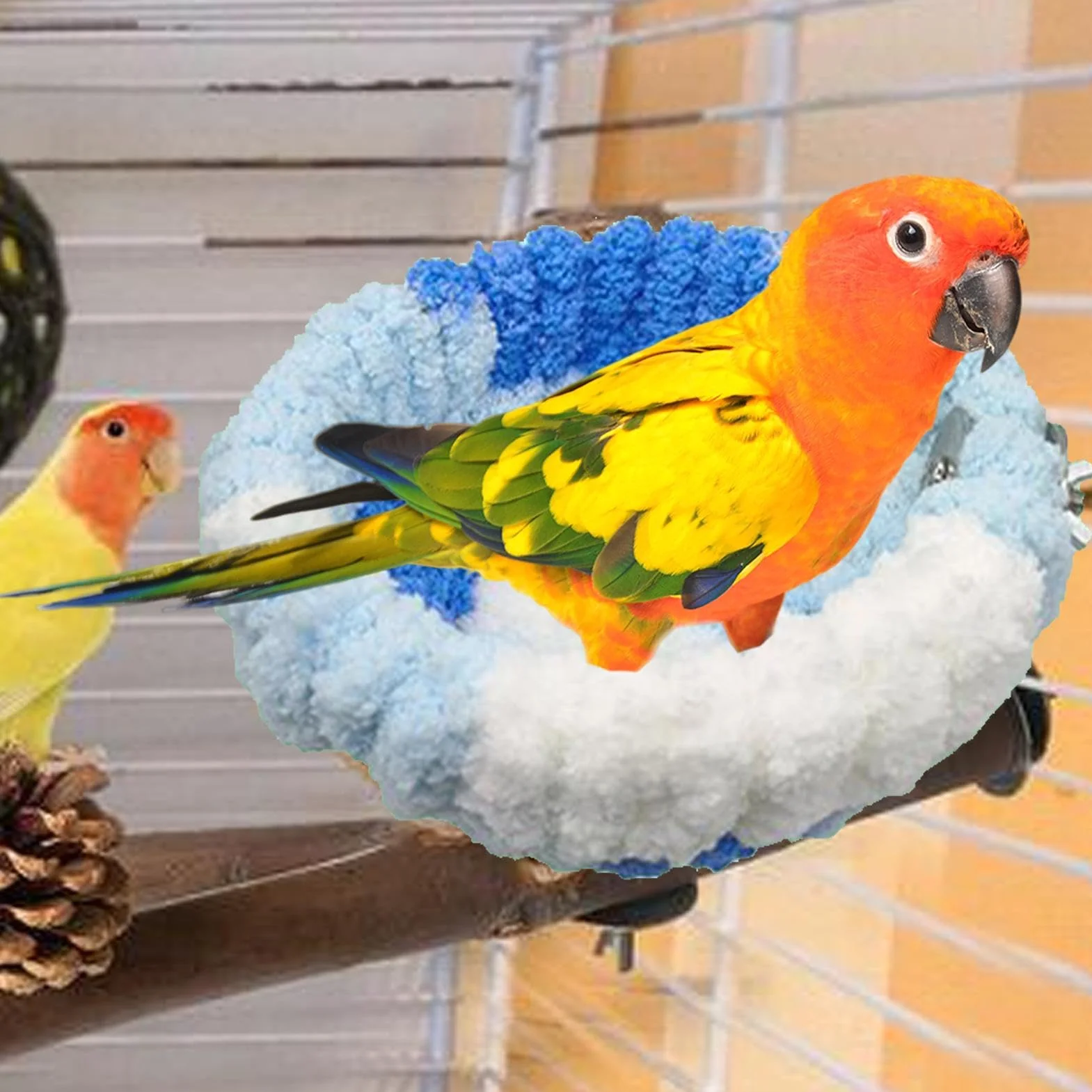 Nid pour perruches, calopsittes, conures, inséparables, canaris, pinsons