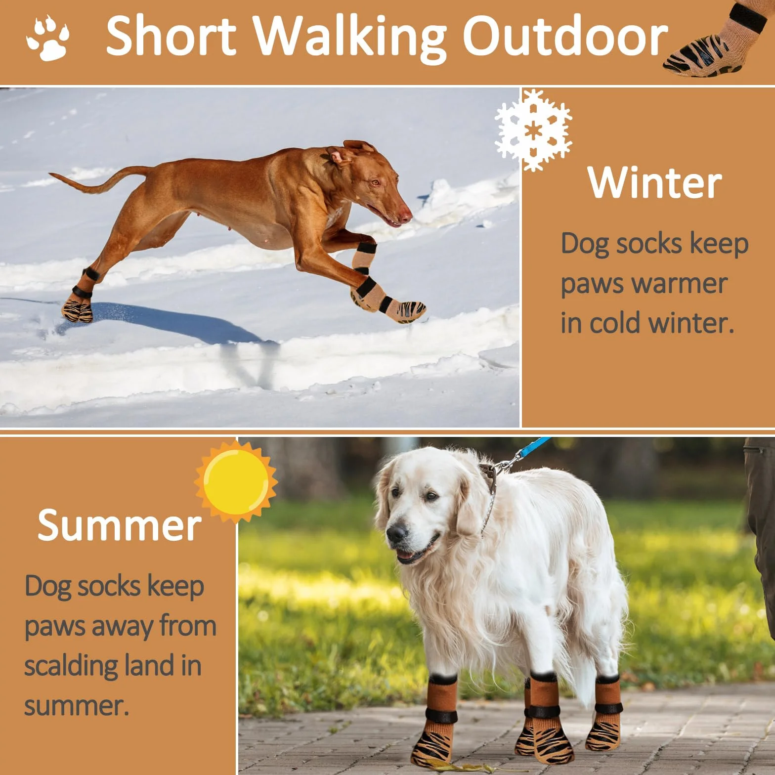 Chaussettes Antidérapantes pour Chien, Double Face, Sol en Bois Dur, Protège-Pattes, Taille M
