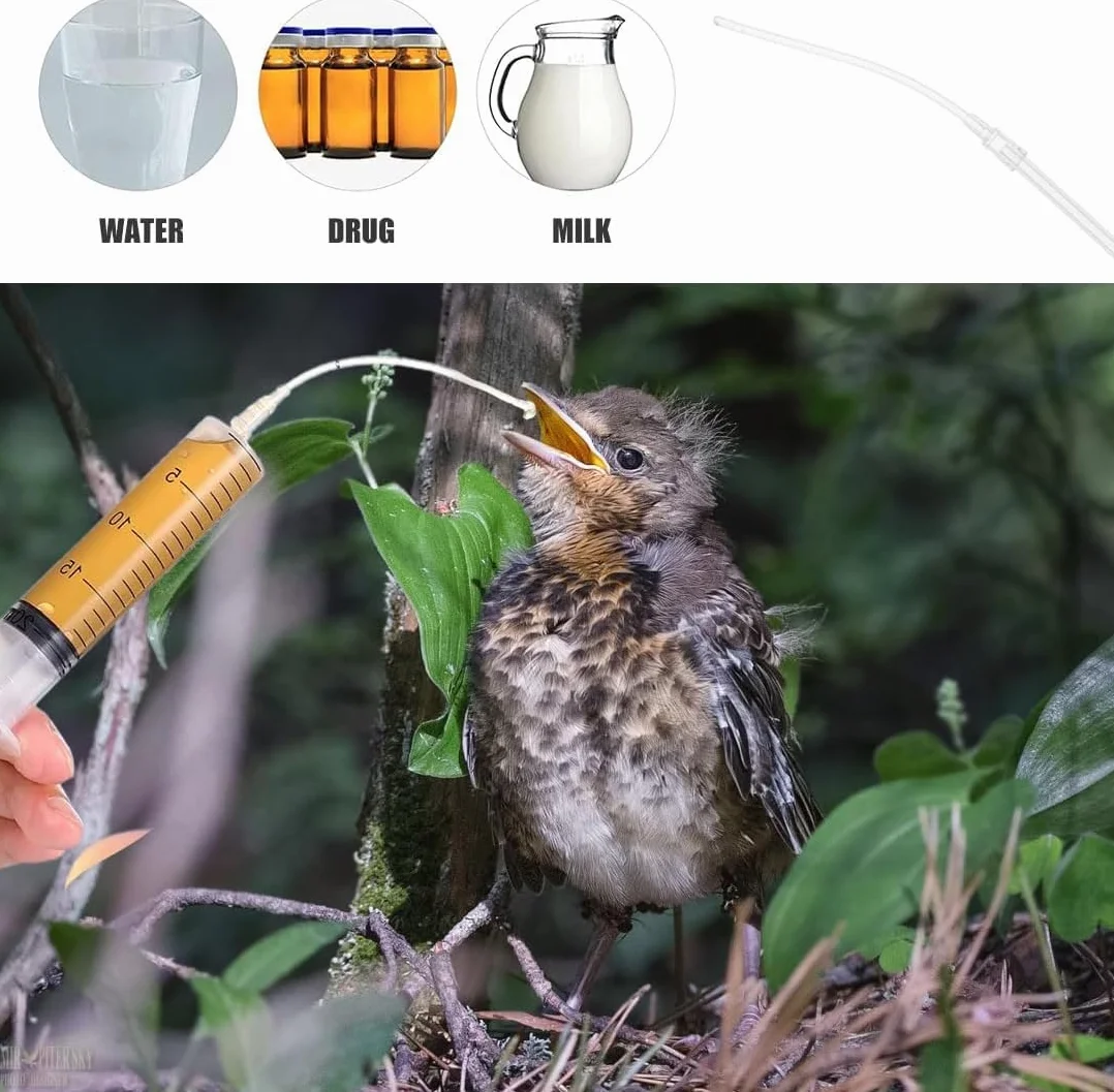 Bébé Oiseau Seringue Alimentation 5 ML Accessoires Pigeons Tortue Colombe Perruches