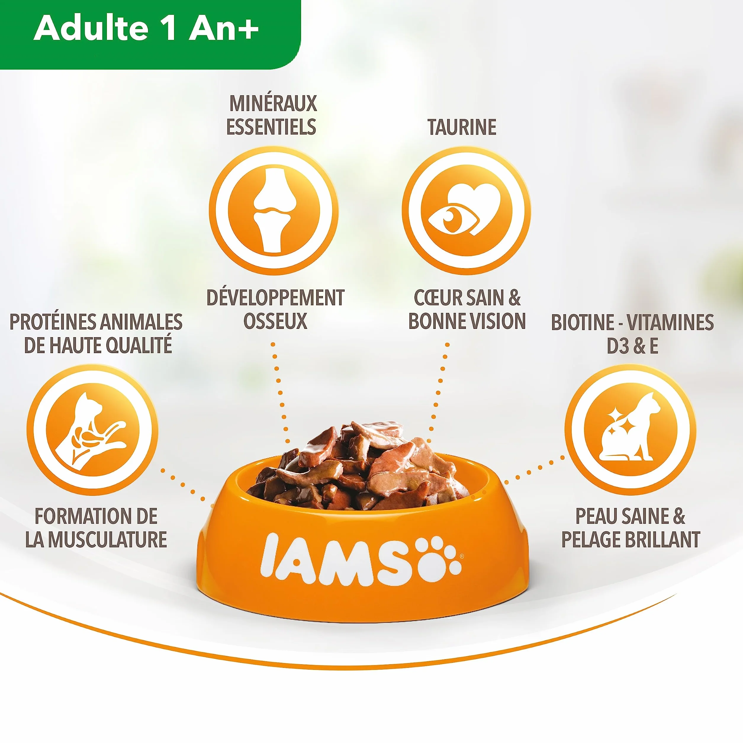 IAMS Chat Adulte Nourriture Humide Gelée Terre&Mer Land&Sea Collection 12x85g