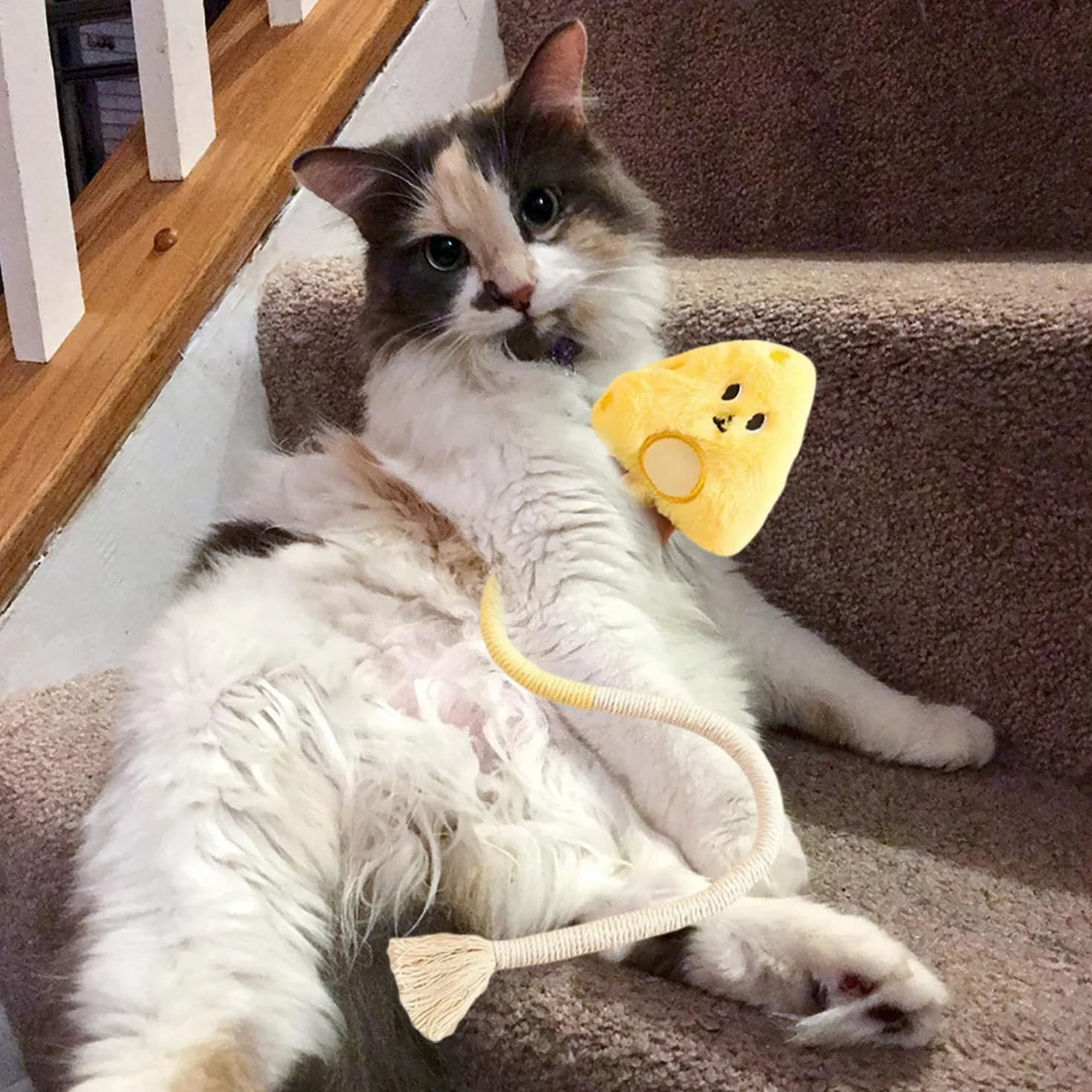Jouet pour Chat Interactif à Mâcher Nettoyage des Dents Naturel Jaune
