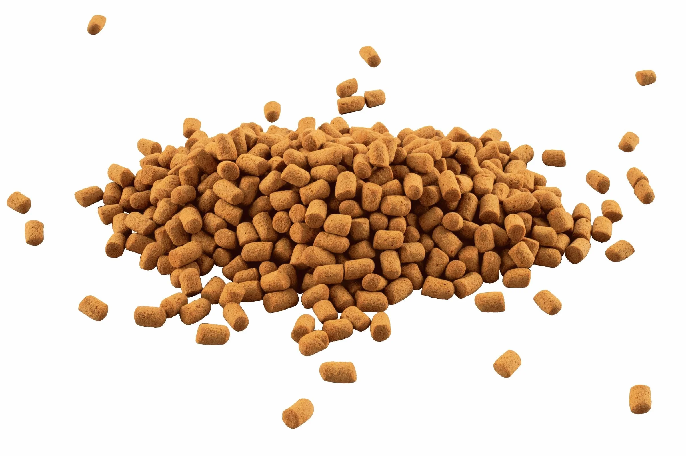 Tetra Cichlid Sticks Nourriture de Base Granulés Flottants pour Cichlidés Gros Poissons d'Ornement