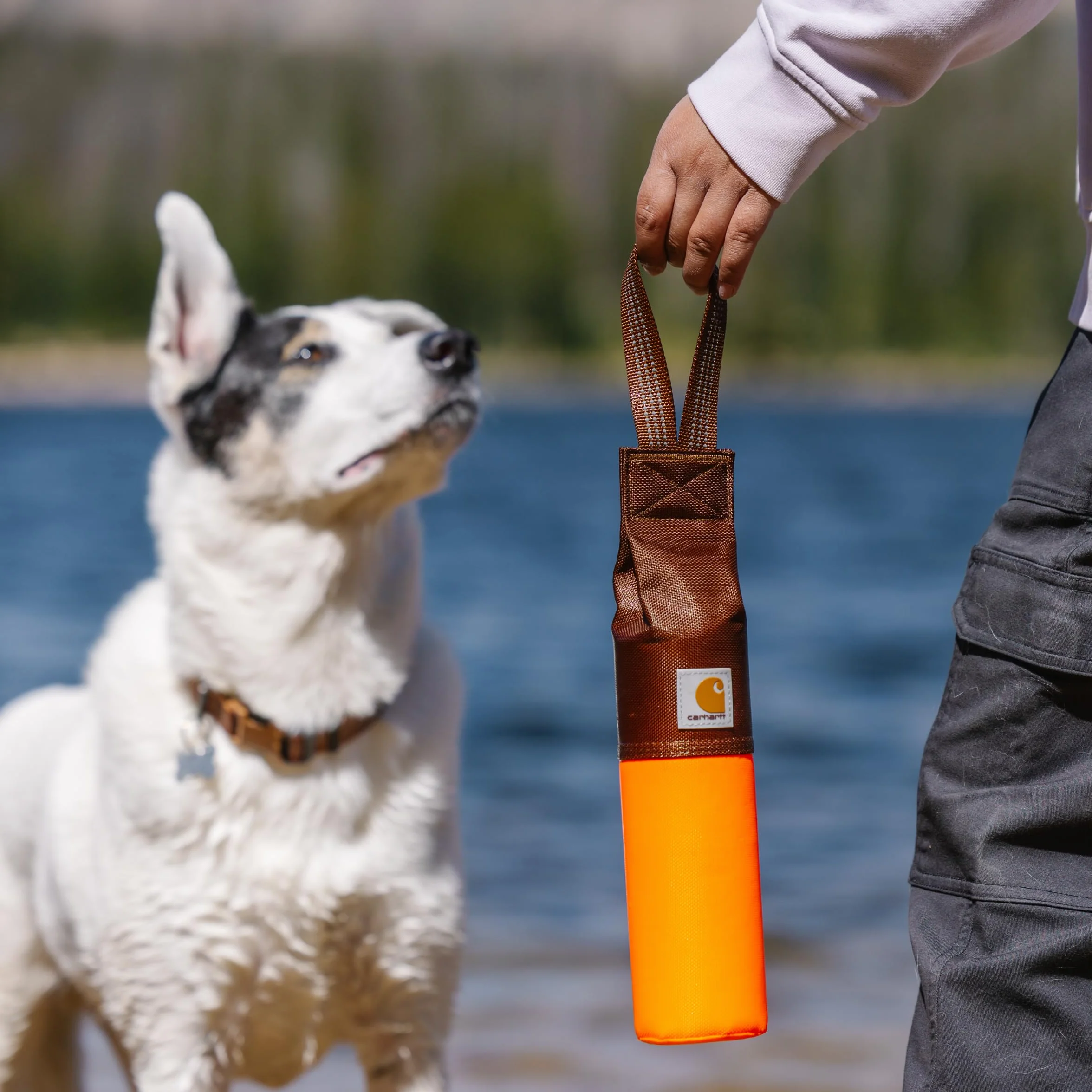 Carhartt Jouet à Aller Chercher pour Chien en Toile de Canard Robuste, Orange Hunter Orange