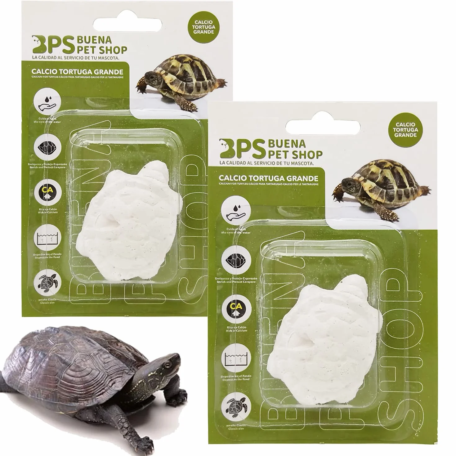 BPS 2 pièces Bloc de Calcium pour Tortues Grand complément de Base Naturel