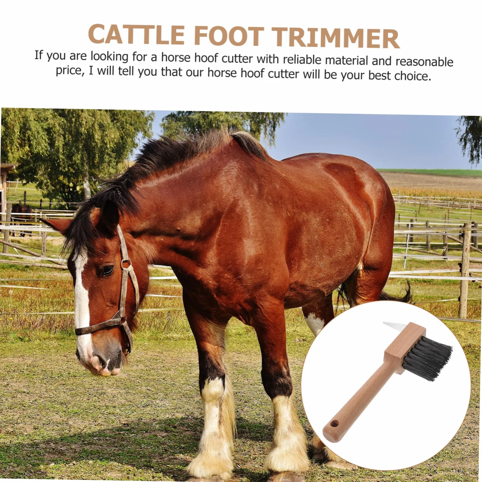 Toyvian Brosse À Sabots Pour Chevaux Et Bovins Outil De Réparation Portable 6.69x3.94x1.18in