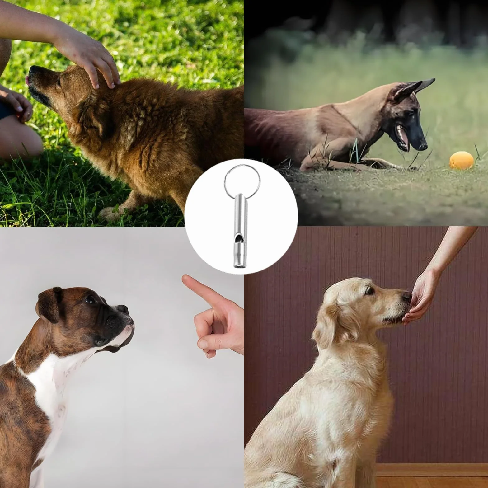Sifflet Ultrason Chien Rappel Anti Aboiement Aluminium 6 Pièces avec Cordon