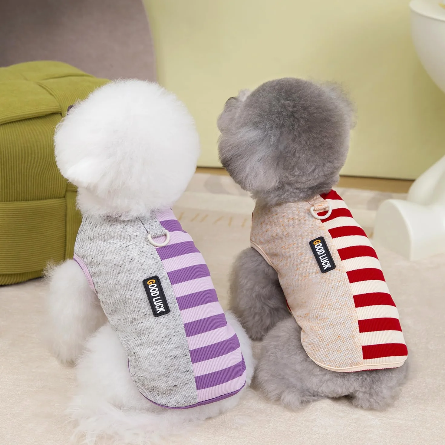 Izefia Gilet Débardeur T Shirt Chien Respirant Coton Rayure Arc-en-Ciel Été