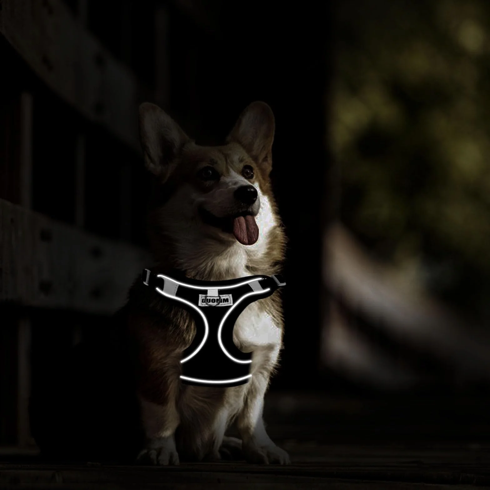 Harnais Chien Anti Traction Petite Moyenne Taille Respirant Lumineux Réglable Sécurité Taille S