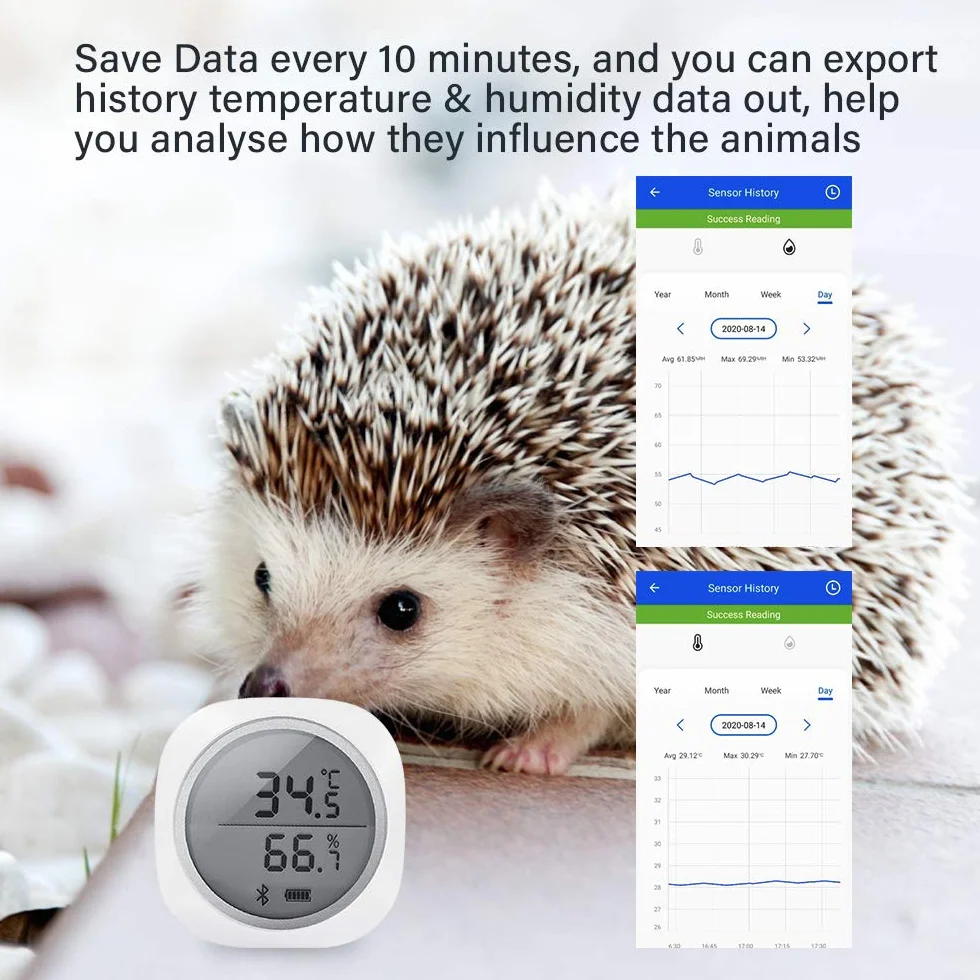 Inkbird IBS-TH1 Plus Thermomètre Hygromètre Numérique Bluetooth avec Sonde pour Terrarium Cave