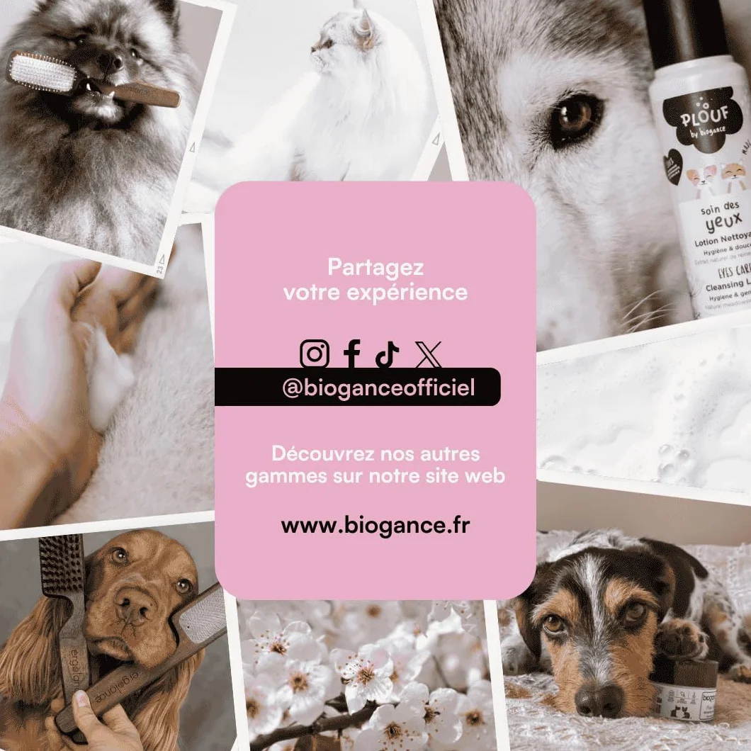 Biogance Shampooing Poils Longs 150 ML pour Chat Huile de Jojoba