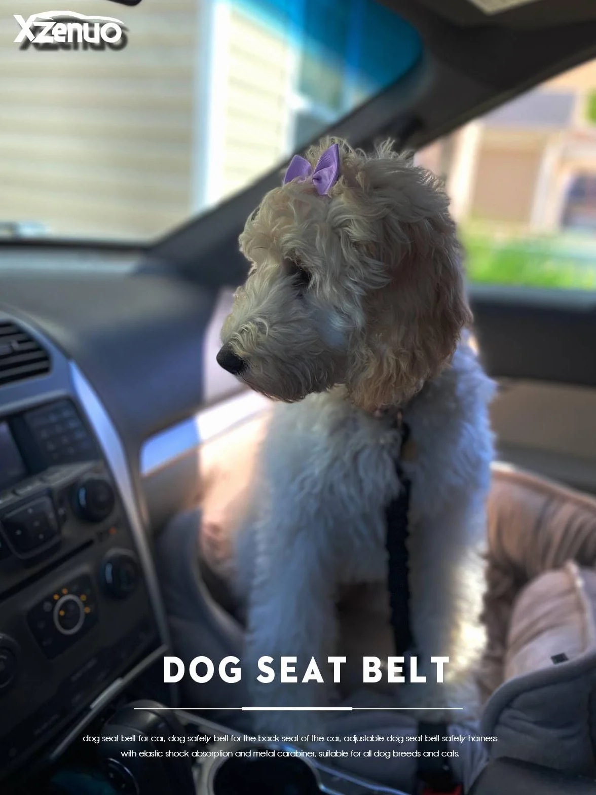 Ceinture securite Chien Voiture, Harnais Laisse Voiture Chien Attache avec Absorption des Chocs élastique et Mousqueton en métal pour Tous Les Chiens et Chats