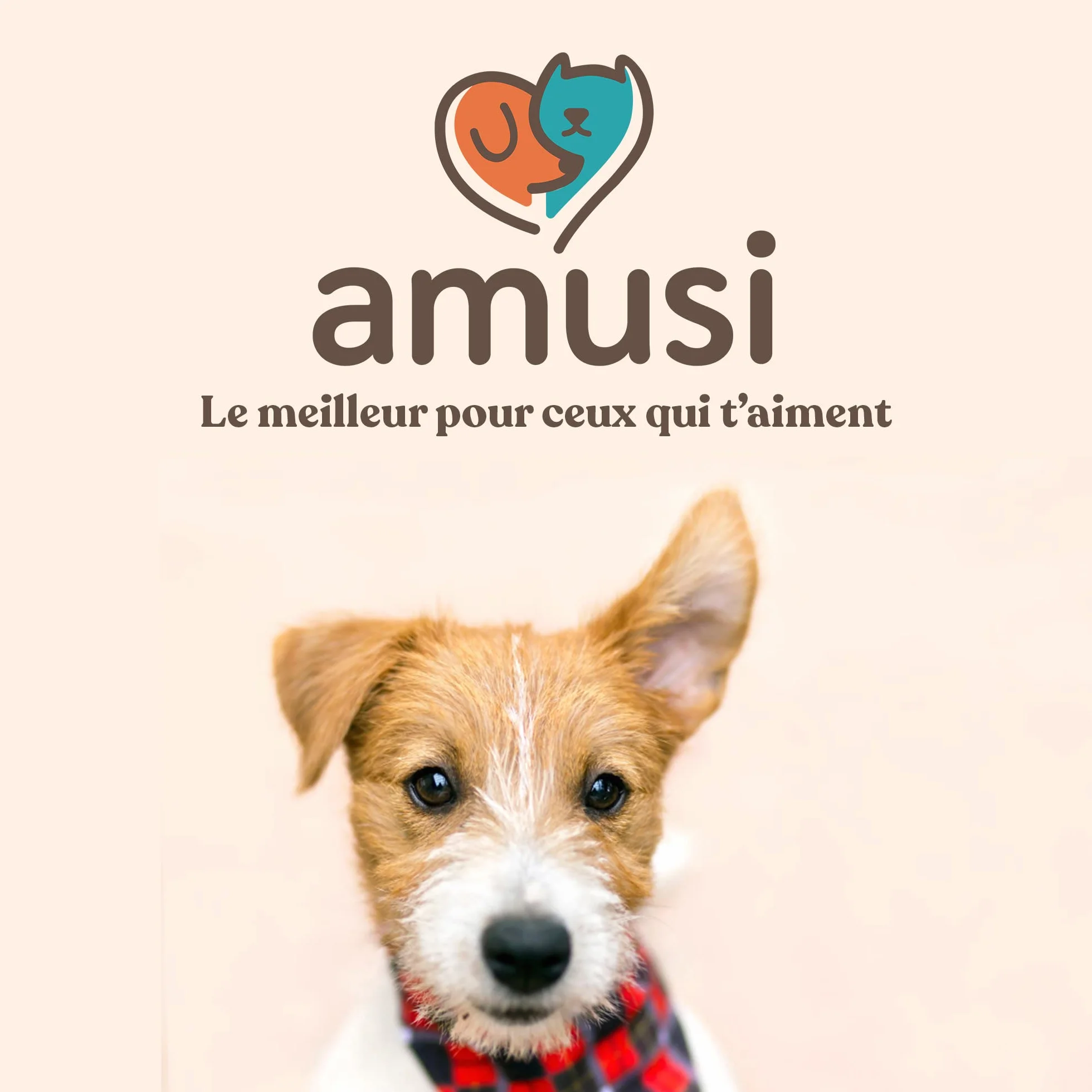 Huile de Neem pour Chiens 500 ML Spray Répulsif Protection Naturelle Contre Tiques Mouches Acariens Poux