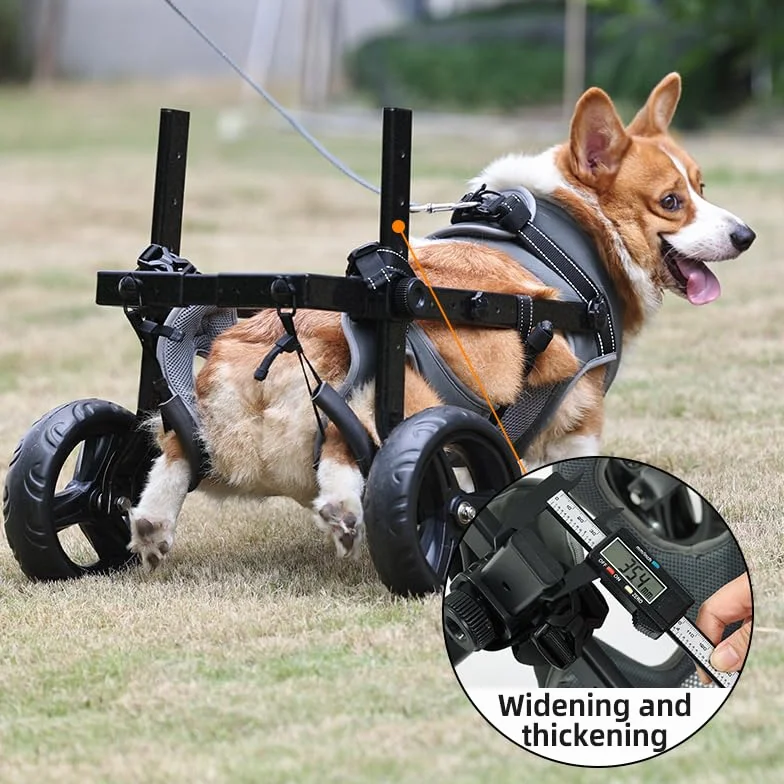 Chaise à roulettes pour chien chariot réglable pattes arrière mobilité 14-20KG