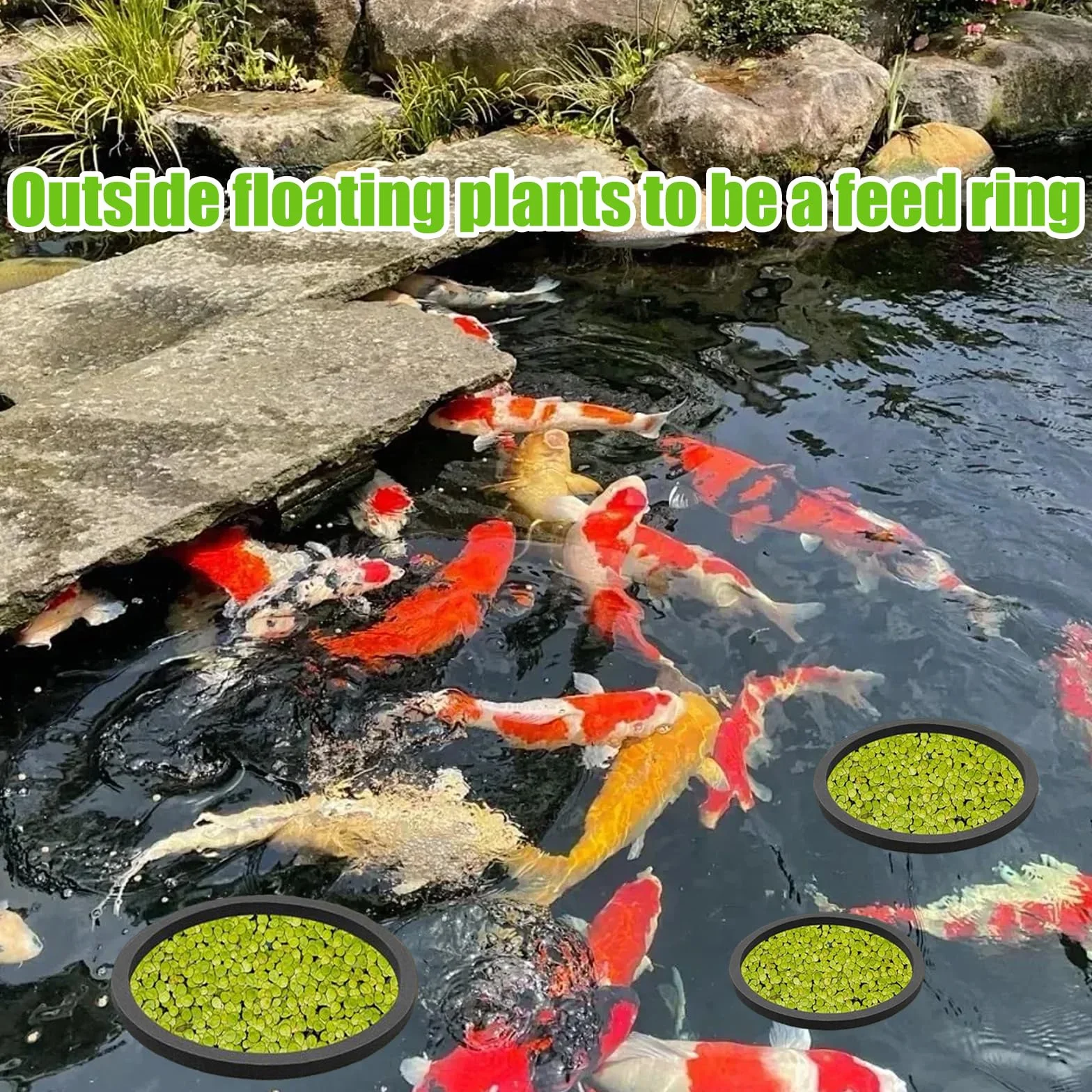 Anneau d'Alimentation Flottant Rond pour Aquarium 5 Tailles VPB 10 Pièces