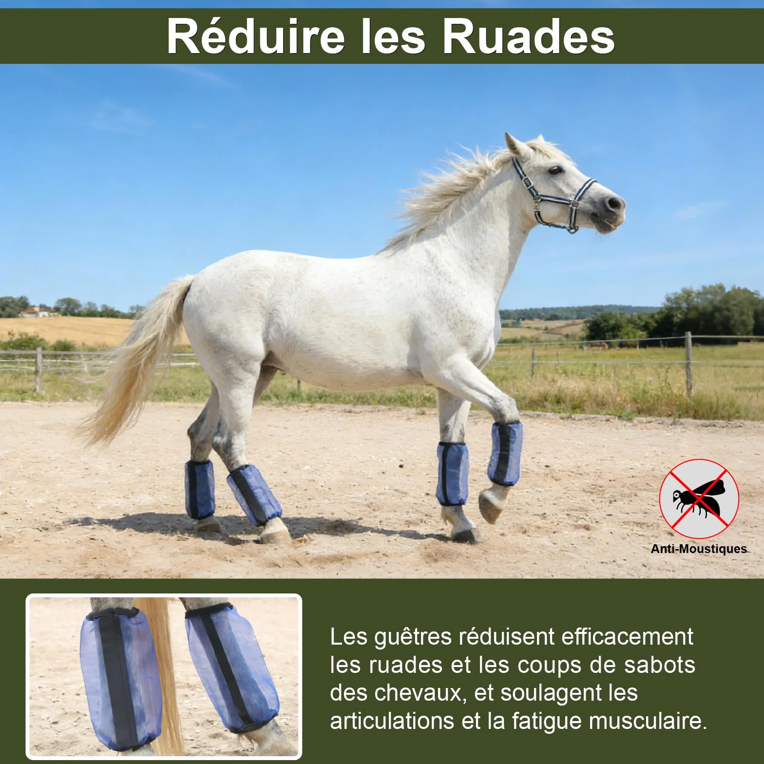 Guêtres pour Chevaux Lot de 4, Maille Ultra Légère Respirante, Antidérapantes, Bleu Royal