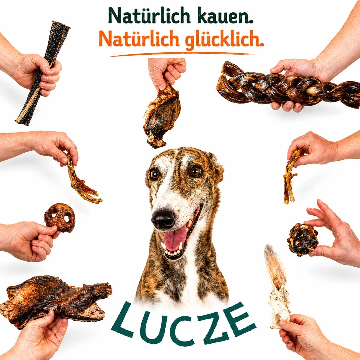 Lot de Oreilles de Porc pour Chiens 1kg, Environ friandises à mâcher 100% Naturelles sans Produits Chimiques, sans céréales, Article à mâcher pour Petits et Grands Chiens, Lucze