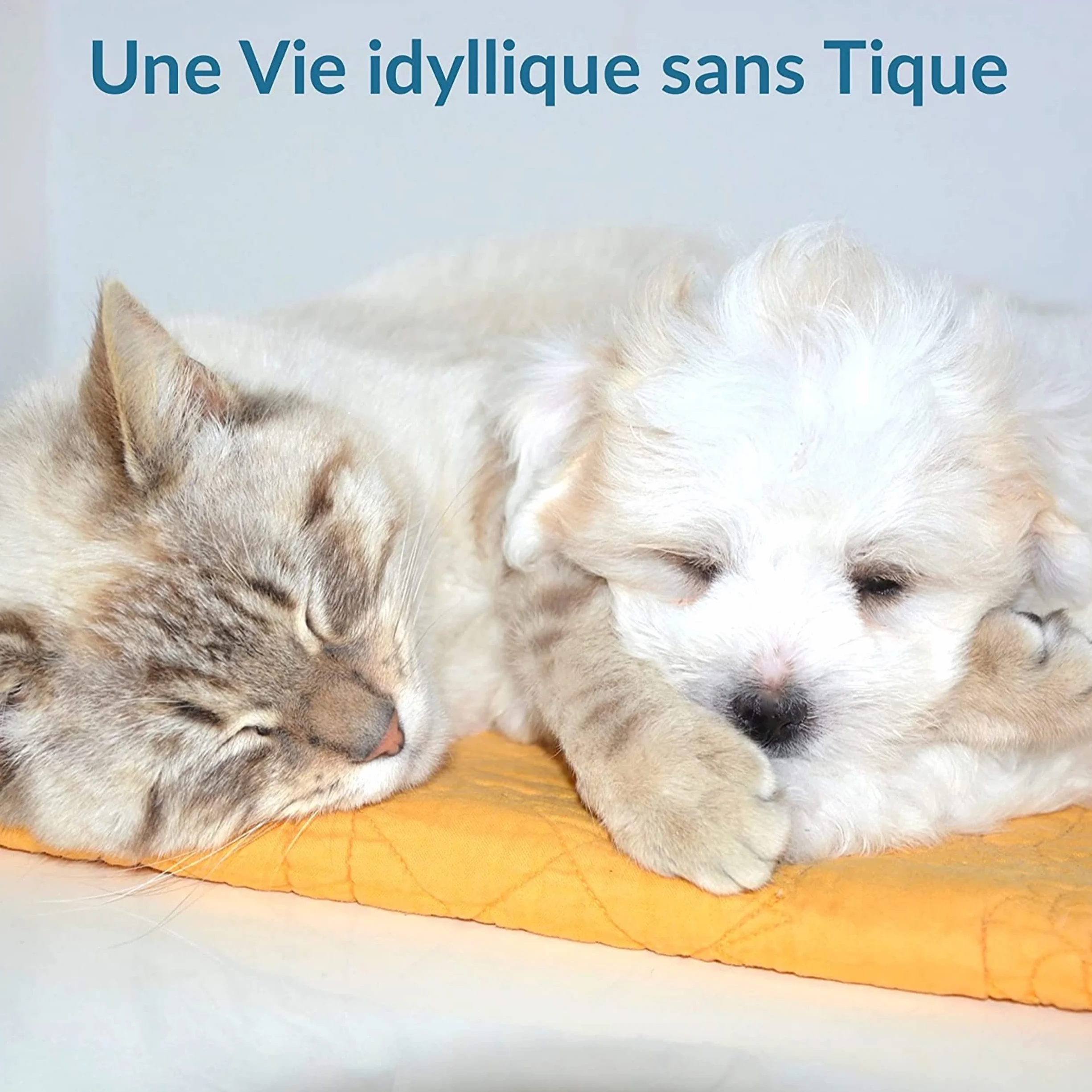 Tire Tique,produit anti tique, Accessoire Antiparasitaire BONUS OFFERT, Retire/Enlève/Attrape parasites, Lot de 3 pinces pour Chat Chien Humain