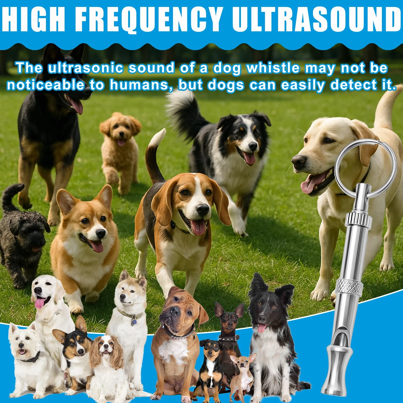 Sifflet Ultrason Chien, Sifflet Rappel à Fréquence Réglable, Accessoires Dressage Haute Fréquence avec Lanière