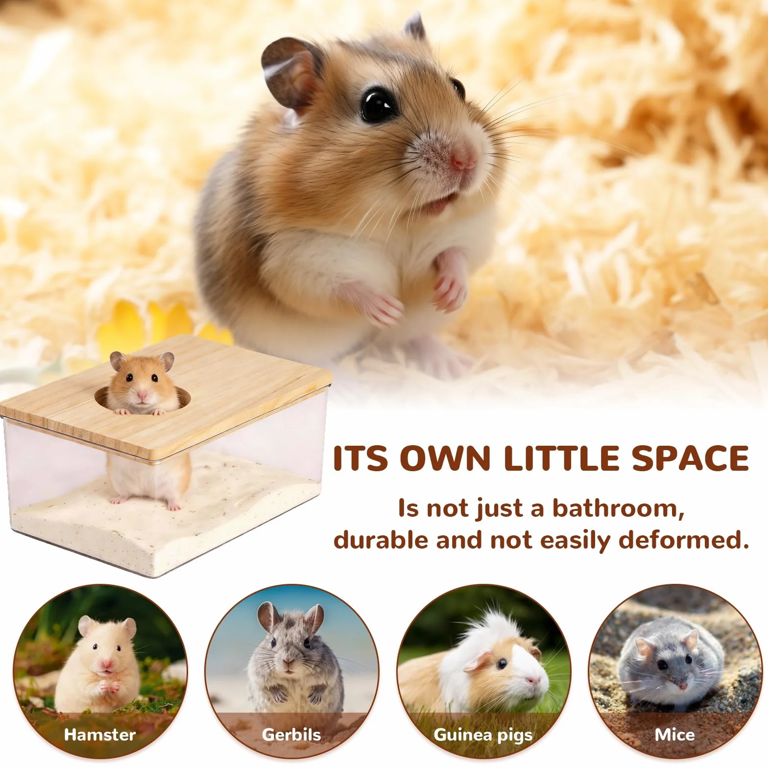 Maison De Toilette Hamster 18,5x12,5x8,5cm Acrylique Transparent avec Échelle et Pelle Salle Bain Hamster
