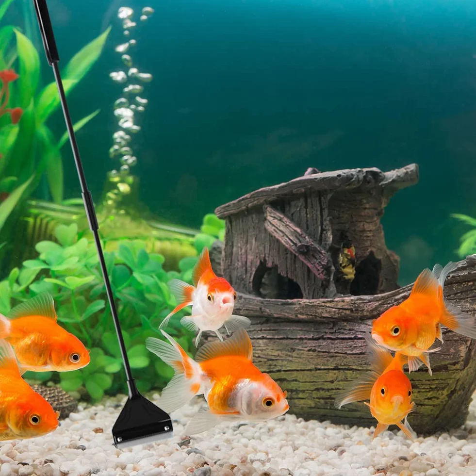 Grattoir Algues Aquarium 62 cm avec 10 Lames de Rechange
