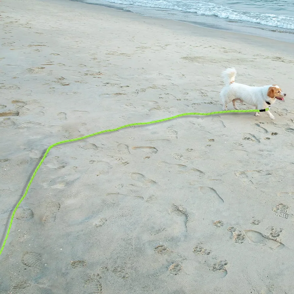 Vivifying Longue Laisse Flottante Réfléchissante pour Chien avec Poignée Souple Vert