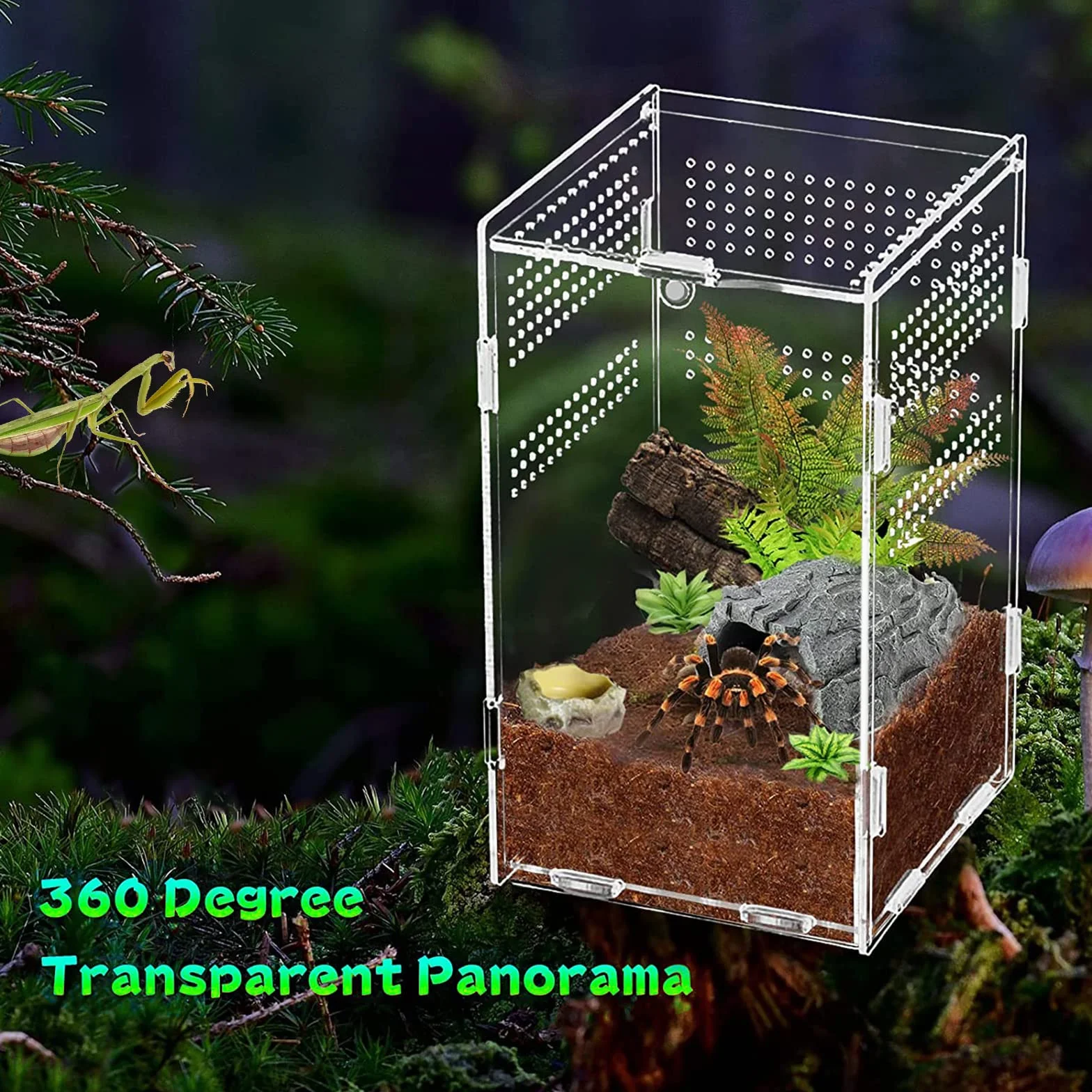 Boîte d'alimentation en Acrylique pour Reptiles 12x12x20cm avec Trous d'air pour lézard, araignée