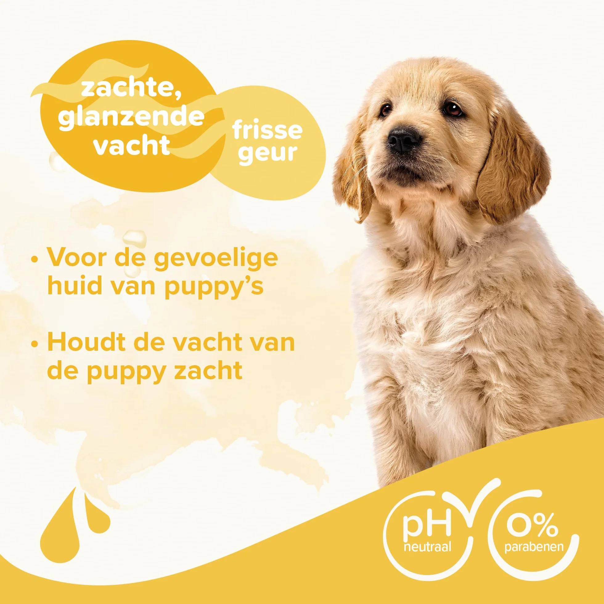 BEAPHAR – Shampooing Essentiel pour Chiot – Extra-Doux – Poil Doux – Contient de la Camomille et de l'Aloe Vera – sans parabène ni Silicone – pH Neutre – Produit Vegan – Prêt à l'emploi – 250 ML