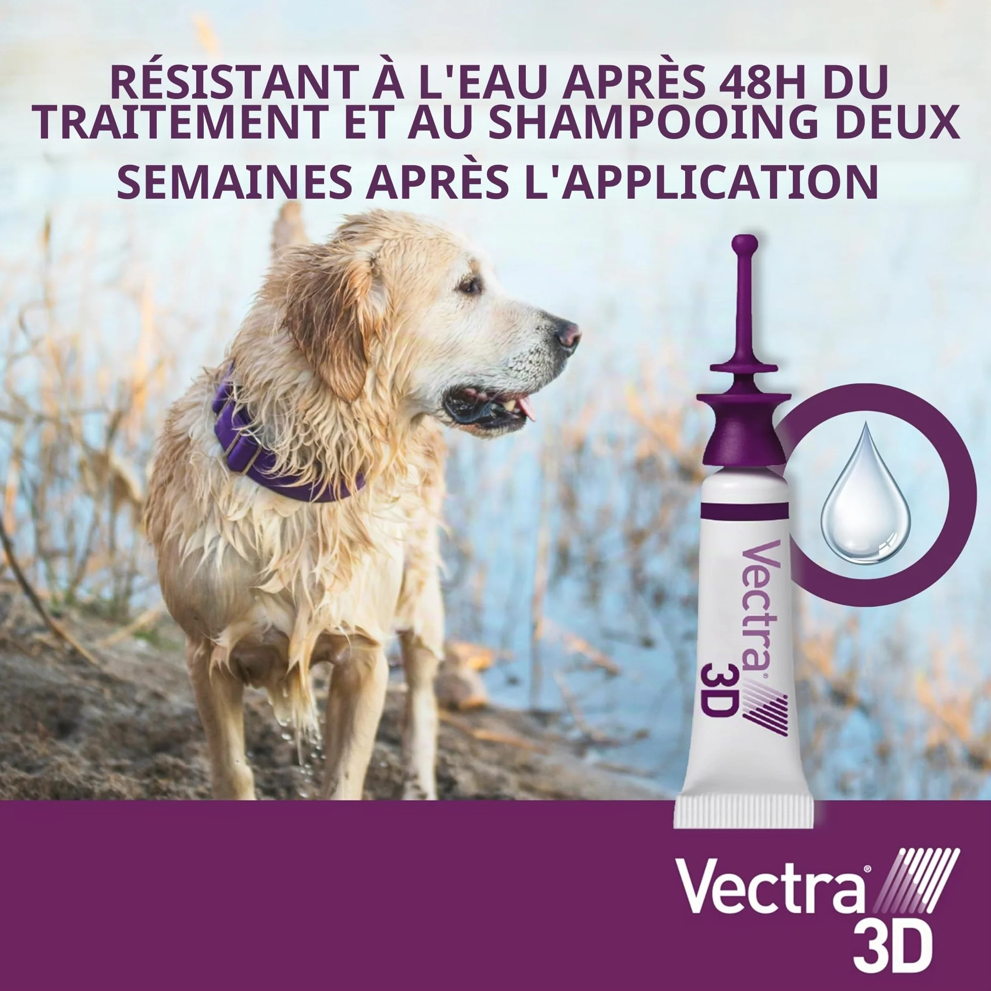 Vectra Vectra 3D Spot-on Solution 3 pipettes 8 ML pour Chiens 40 kg Rouge