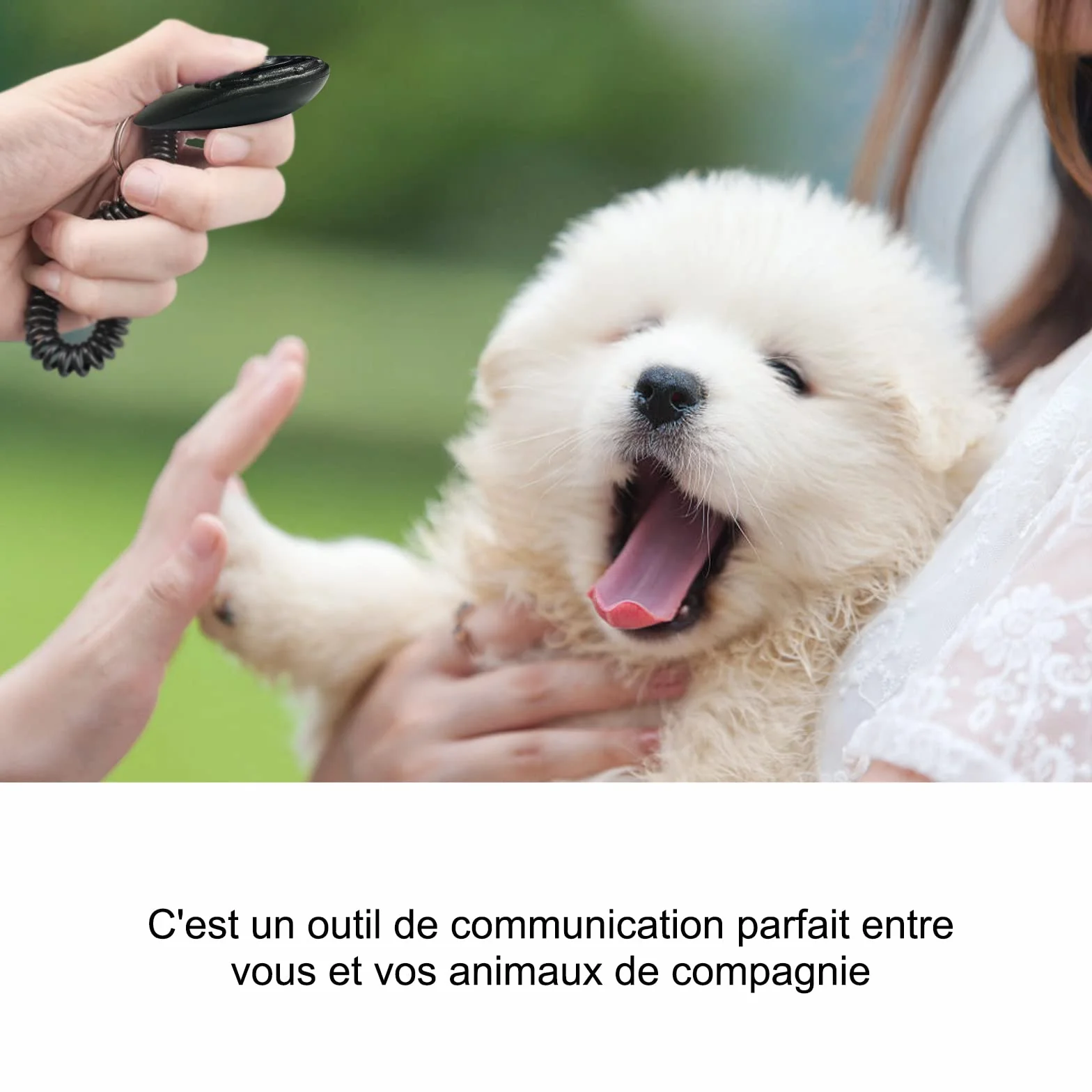 Clickers pour Chien Clicker Training avec Dragonne élastique et Grand Bouton, Lot de 2, Noir et Cyan