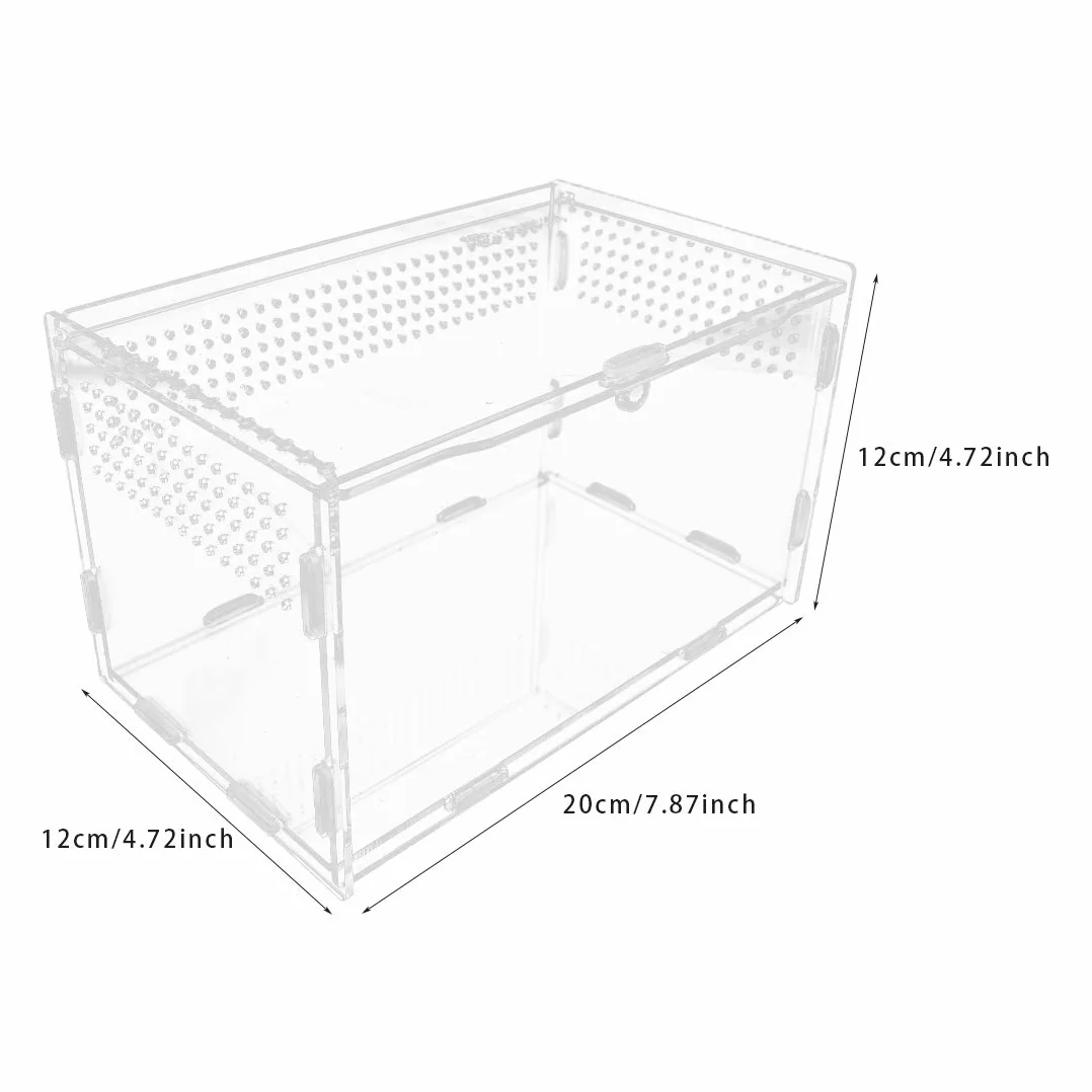 Terrarium en Verre Transparent 20x12x12 cm pour Reptiles avec Pinces