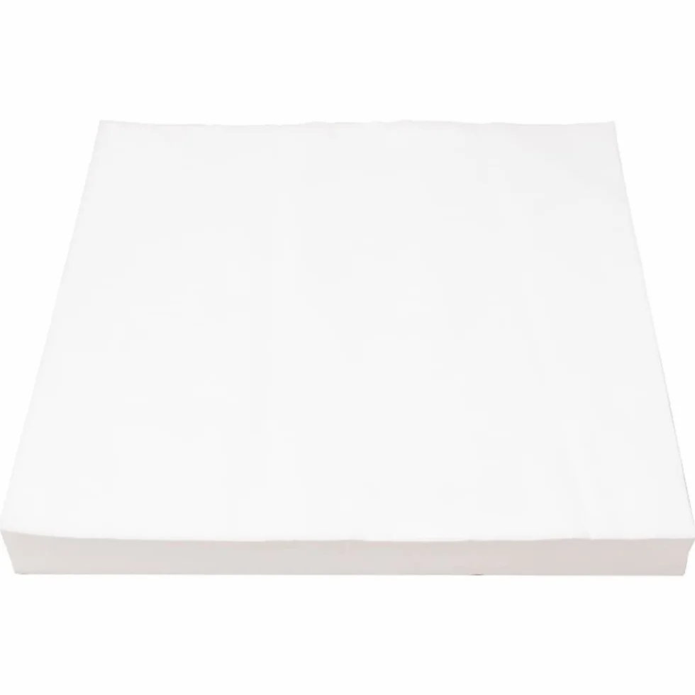 Lot de 100 doublures en papier jetables absorbantes prédécoupées 22 x 15 cm pour cage à oiseaux et perroquets