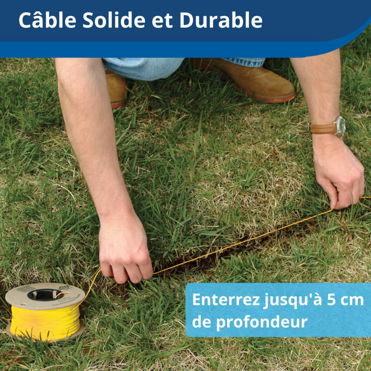 Petsafe Système De Clôture Anti-Fugue pour Chien Plus 3,6 Kg - 4 Niveaux De Stimulations - Imperméable - Jusqu'À 0.13 Hectares
