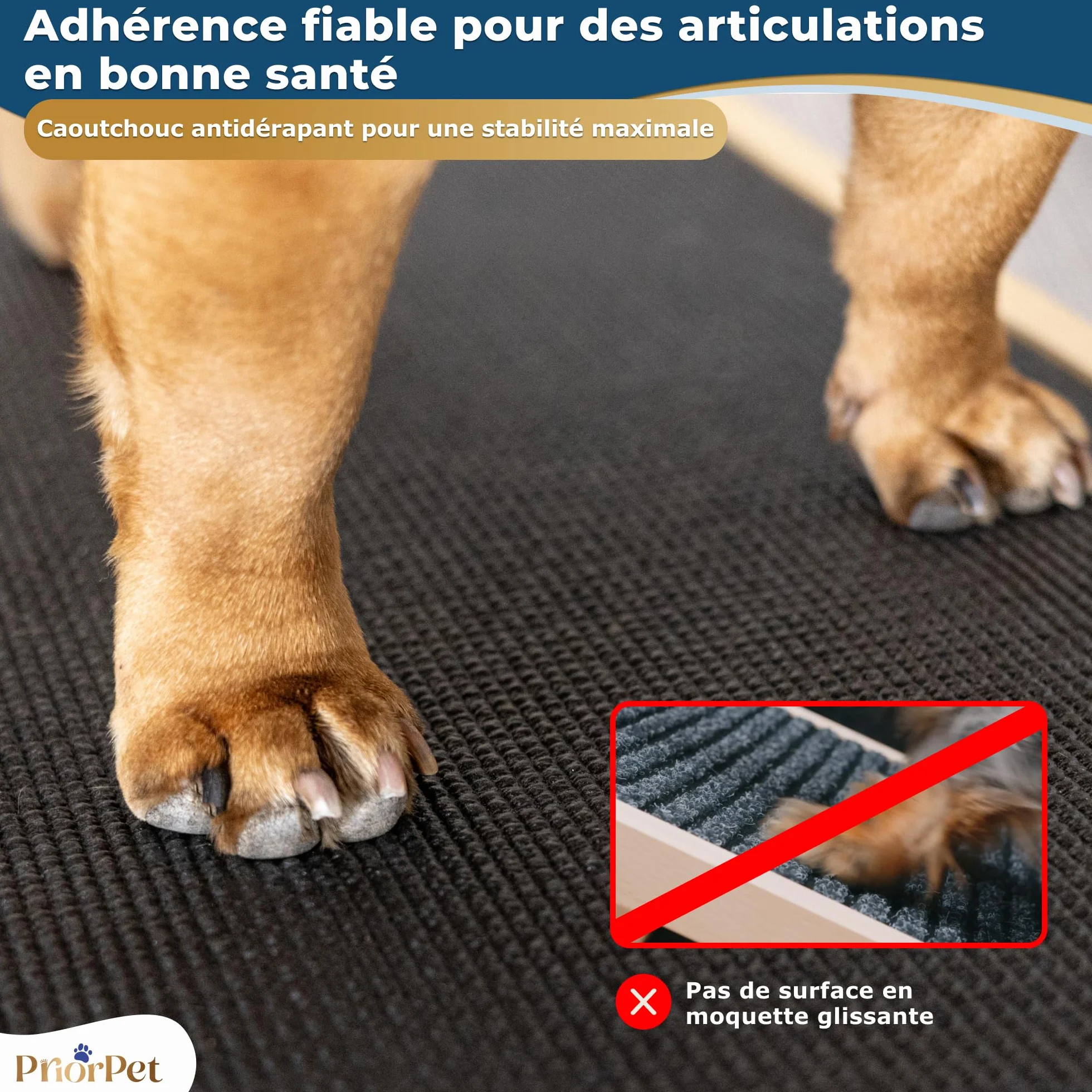 Rampe pour Chien Pliable et Réglable 18-53 cm - Surface Antidérapante - Bois de Bouleau Naturel