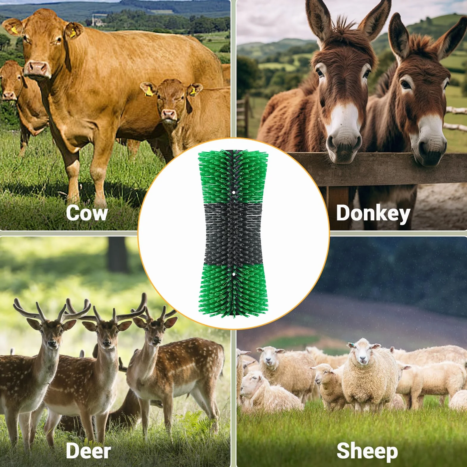Lot de 2 brosses à gratter pour chevaux et bétail, toilettage et massage