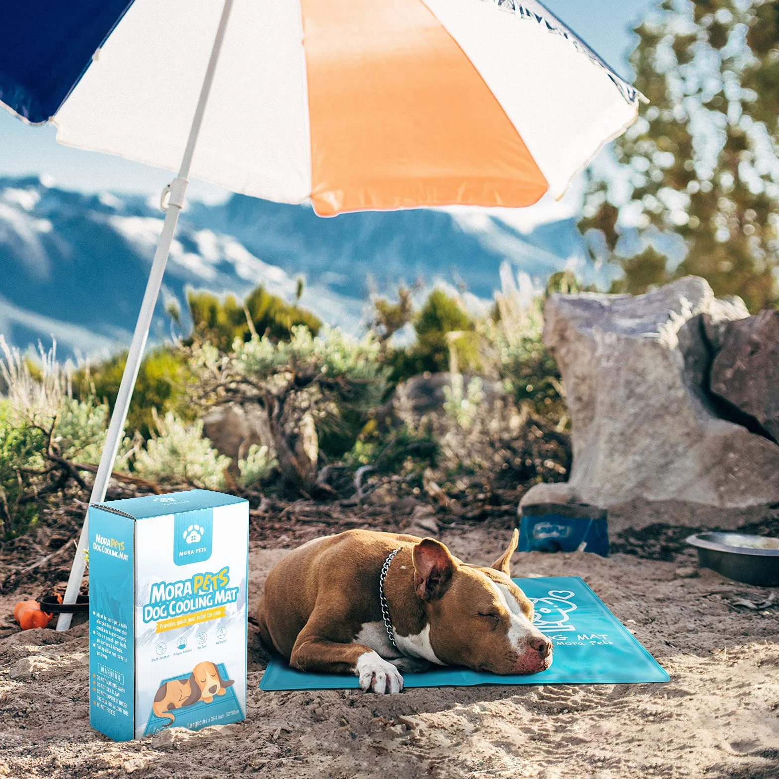 Tapis Rafraîchissant pour Chats et Chiens Gel Non Toxique 65 x 50 cm Bleu Matelas Refroidissant Étanche