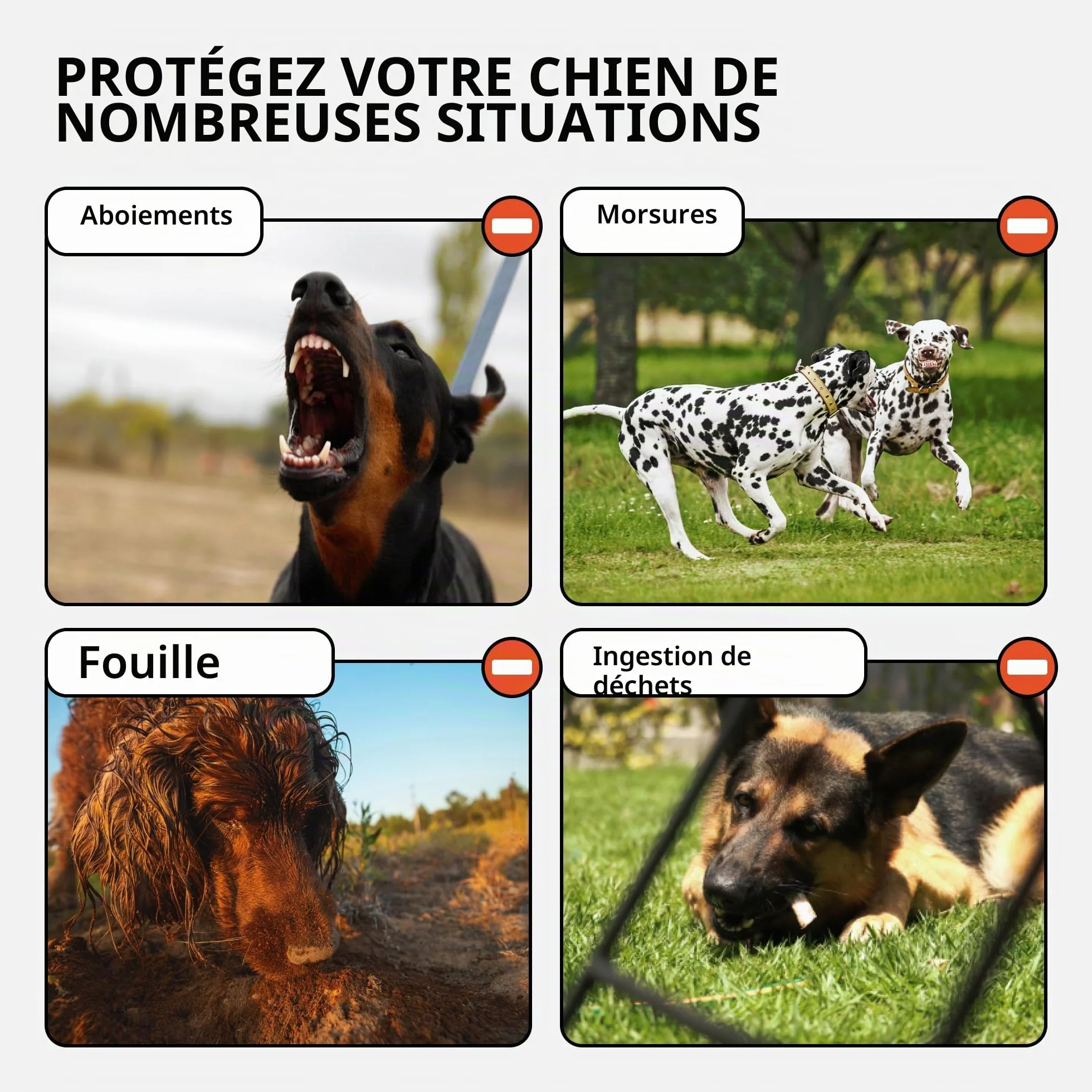 CollarDirect Muselière pour Chien Berger Allemand Dalmatien Doberman Setter Panier en Cuir Medium Large Breeds Black Brown (L, Black)