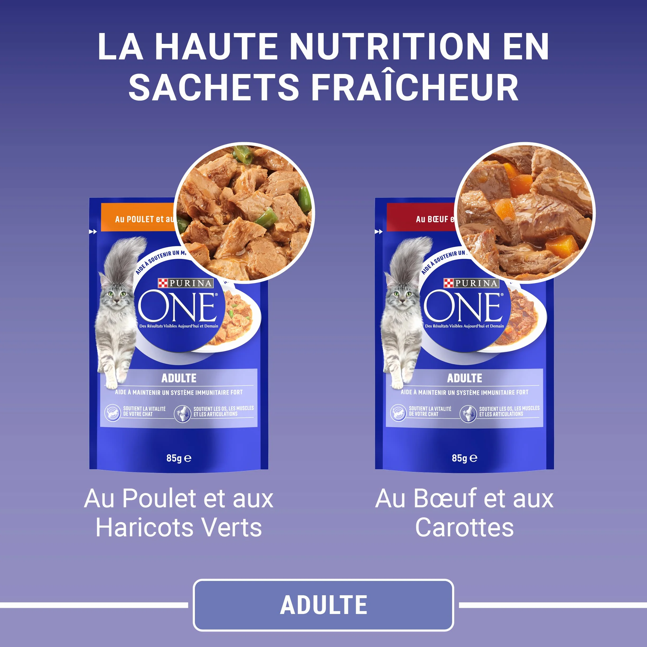 PURINA ONE BIFENSIS Chat Adulte Poulet Boeuf Effilés en Sauce Sachets Fraîcheur Lot de 12 (4 x 85g)