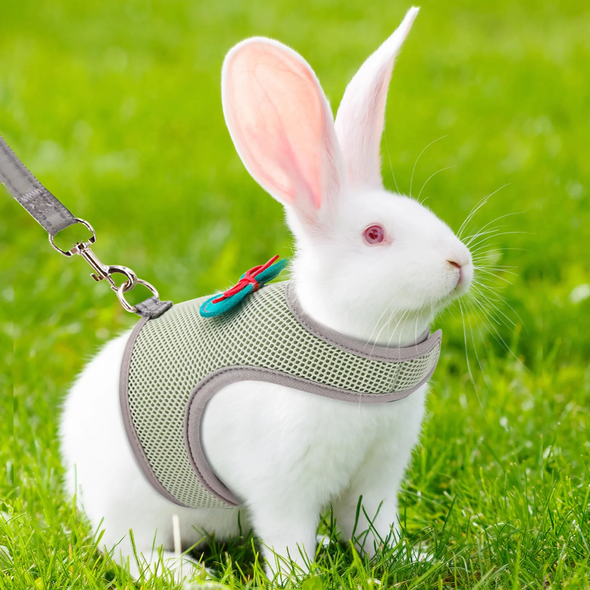 AIITLE Ensemble harnais et laisse pour lapin avec nœud mignon, harnais réglable anti-fugue pour lapins, chatons, furets, chiots et petits animaux de compagnie, pour promenade, randonnée, camping,