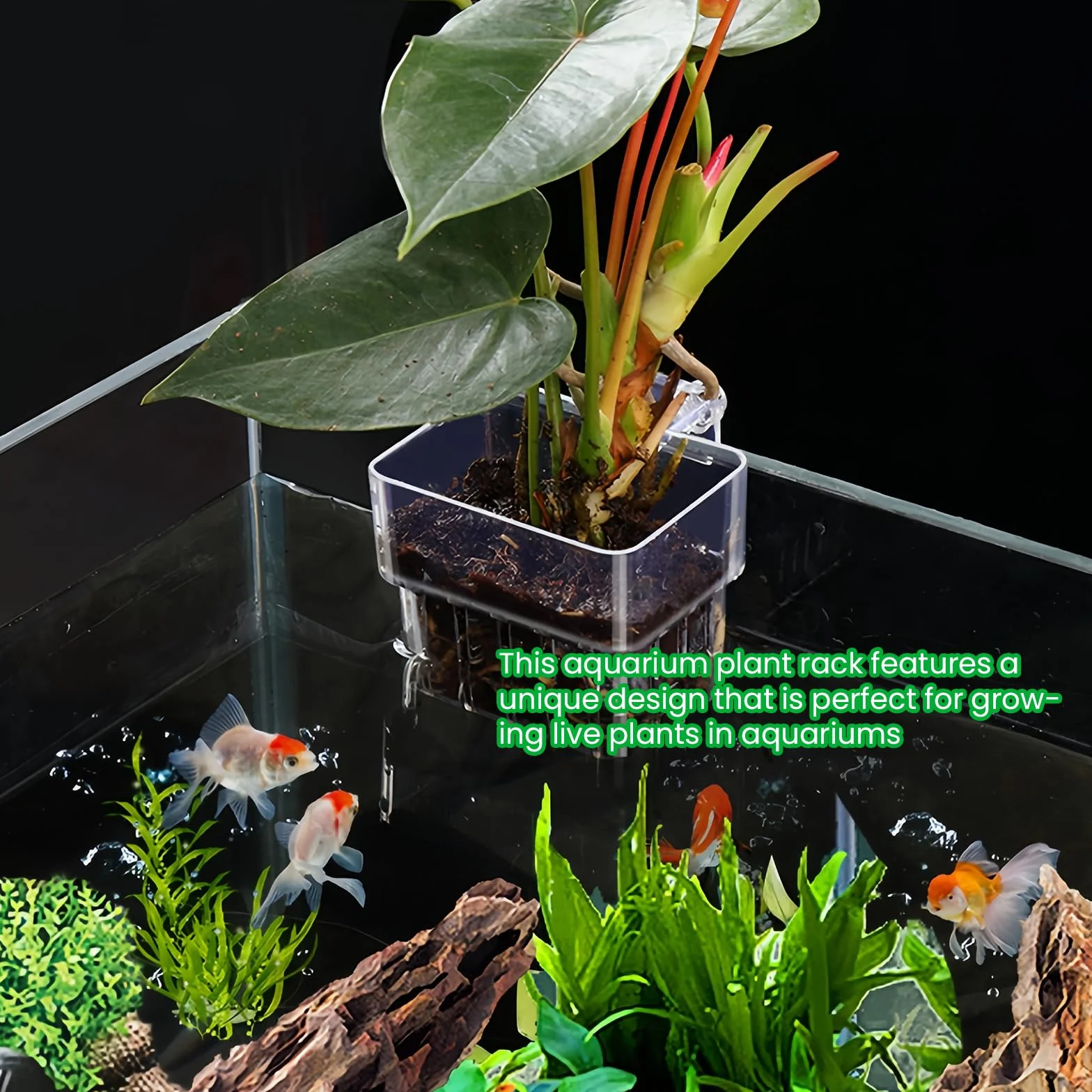 Lot de 6 supports de plantes d'aquarium transparents avec trous, paniers suspendus pour aquarium