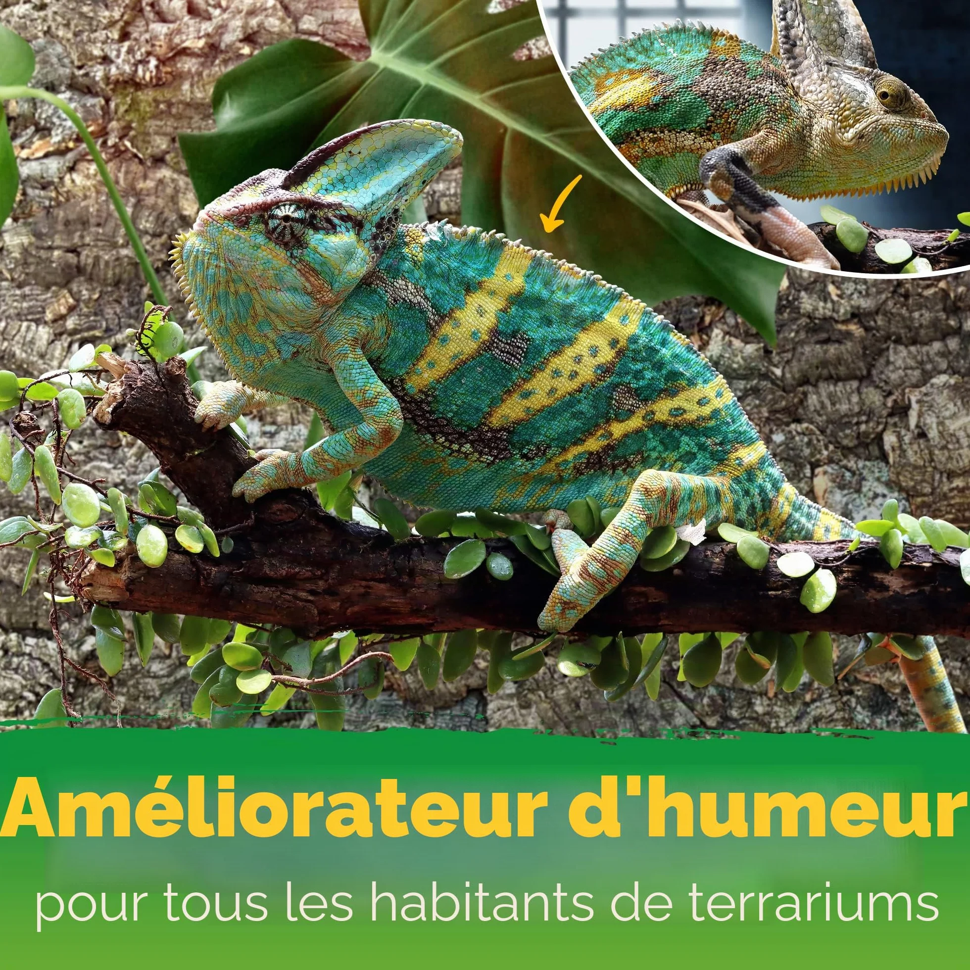 Paroi arrière XL en liège 3D pour Terrarium 90 x 60 cm