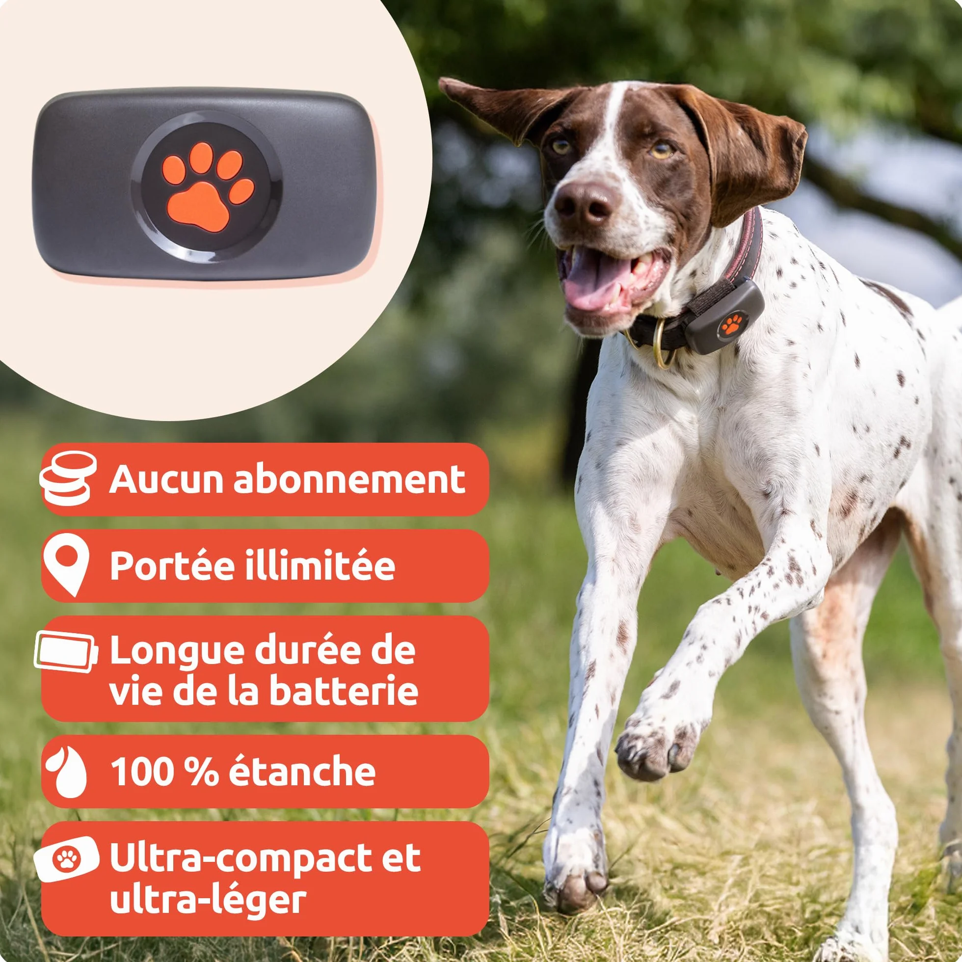 PitPat Traceur GPS pour Chien - Fixation au Collier