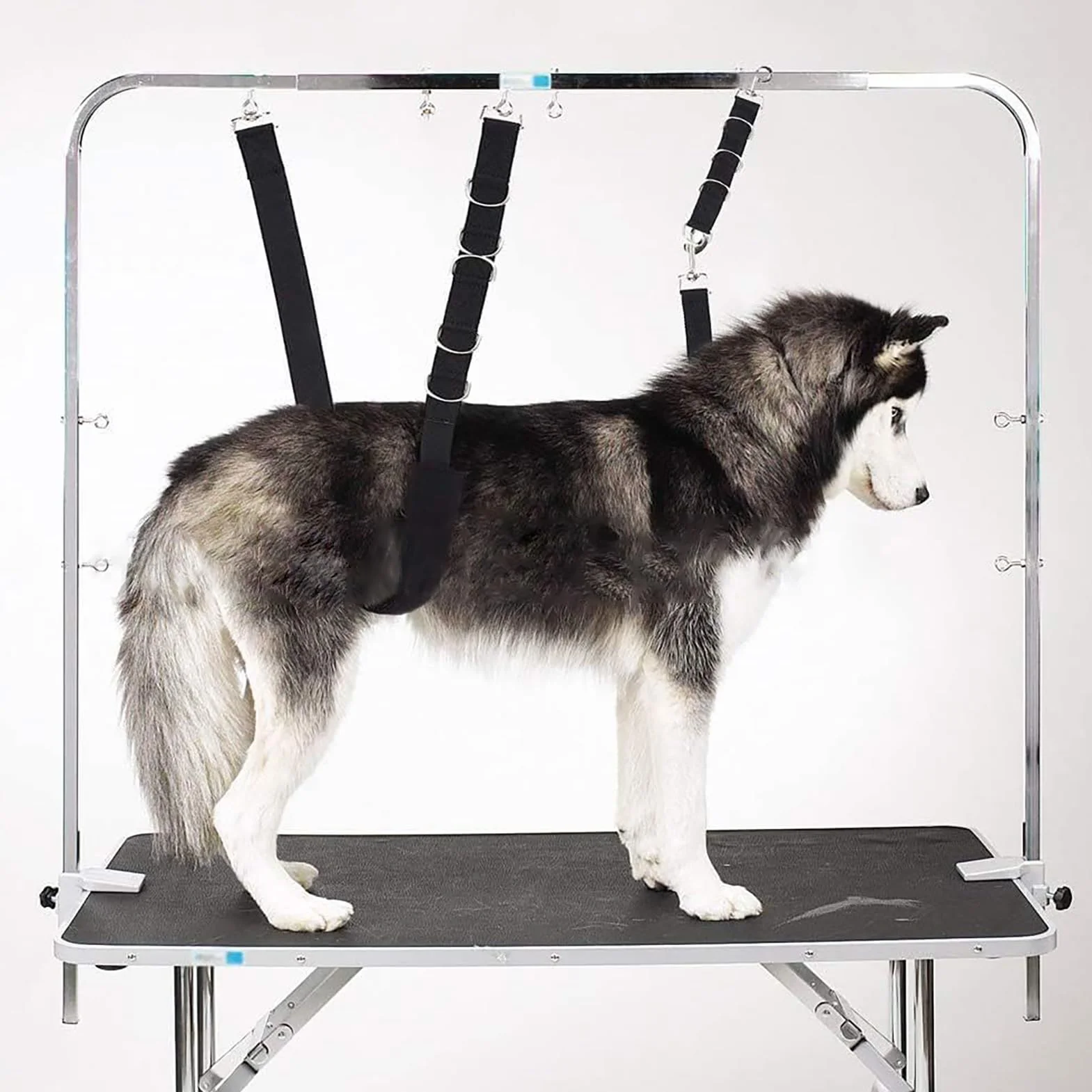 Sangles De Table De Toilettage Pour Animaux Paquet De 3 | Laisse À Boucle D'extension En Nylon Pour Chien Et Chat